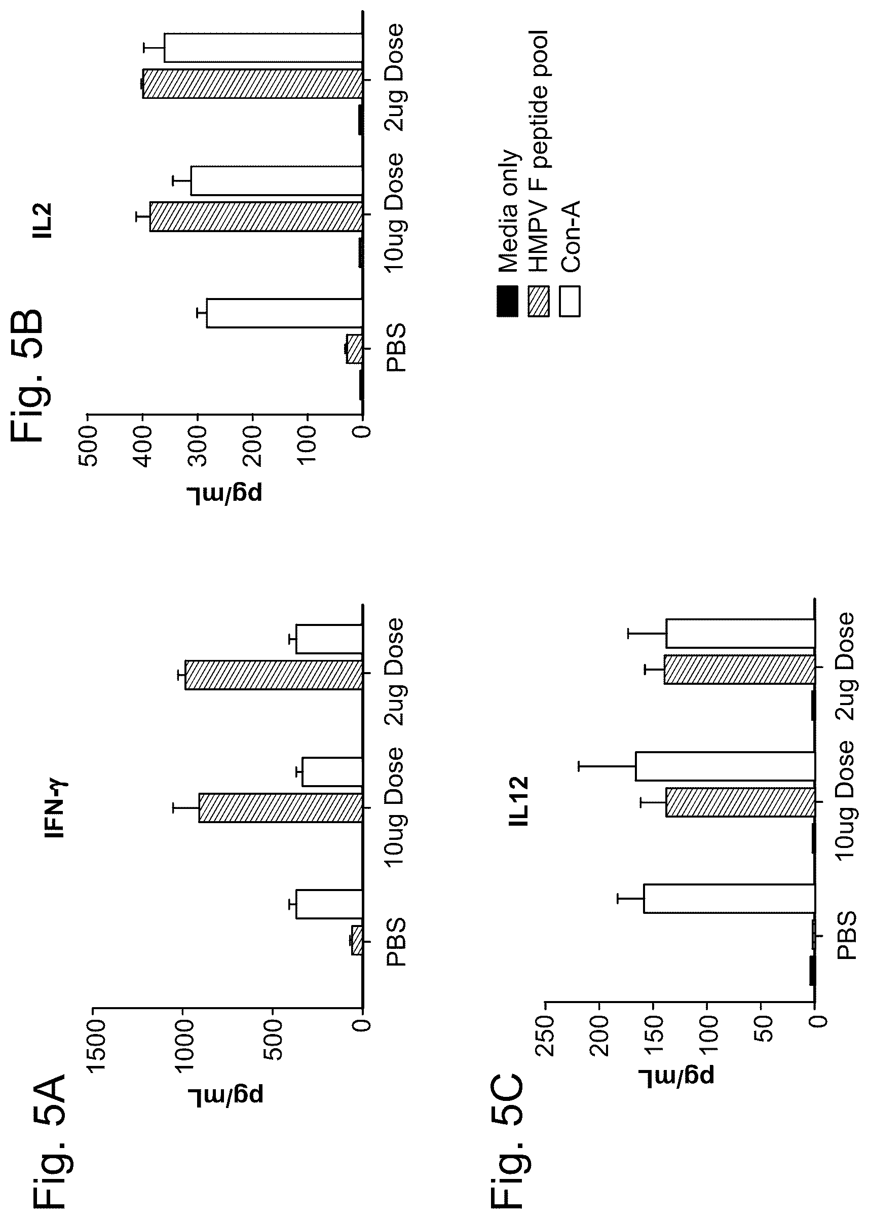 Patent US12403335 Figure 5 – Betacoronavirus MRNA vaccines