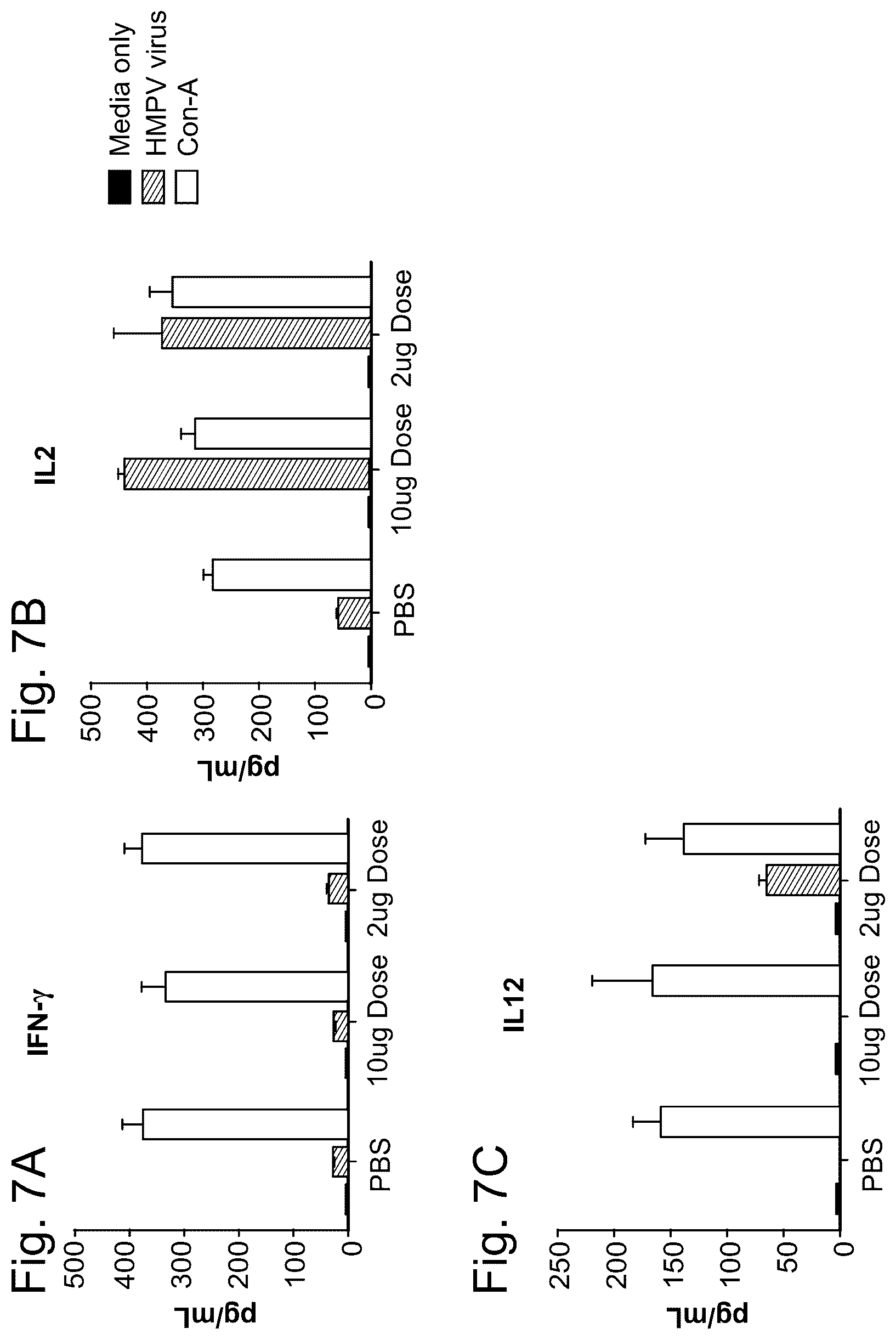 Patent US12403335 Figure 7 – Betacoronavirus MRNA vaccines