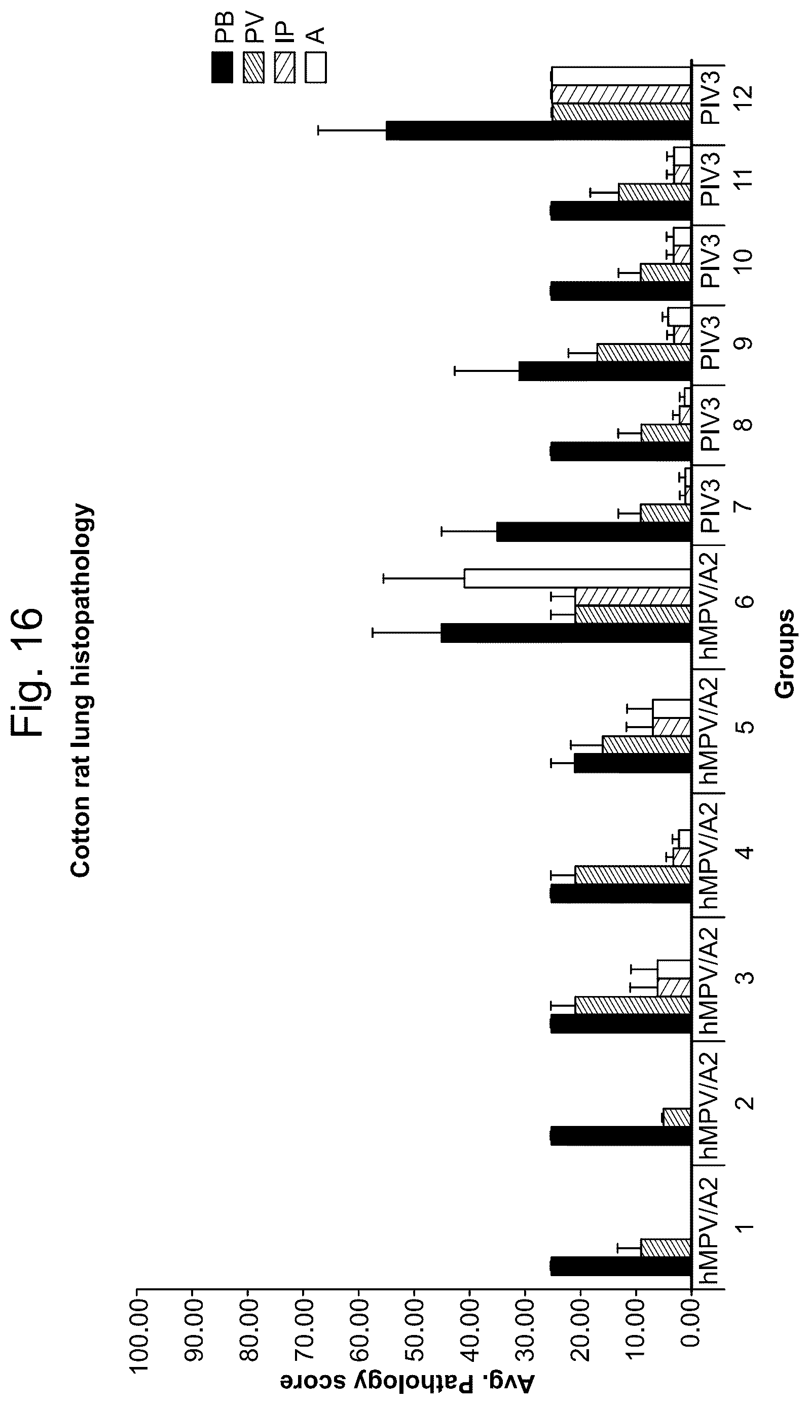 Patent US12403335 Figure 16 – Betacoronavirus MRNA vaccines