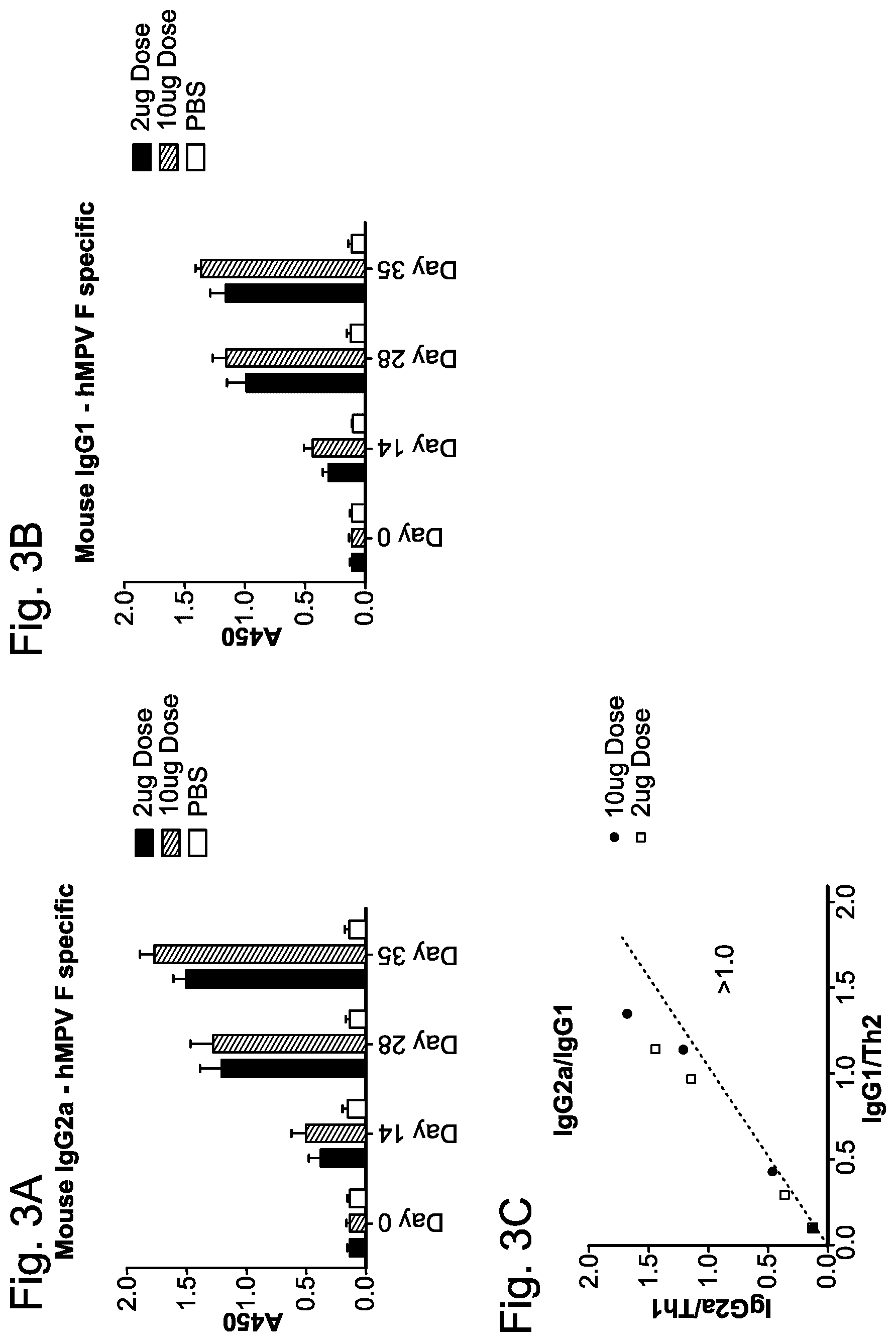 Patent US12403336 Figure 3 – Betacorona virus mRNA vaccines