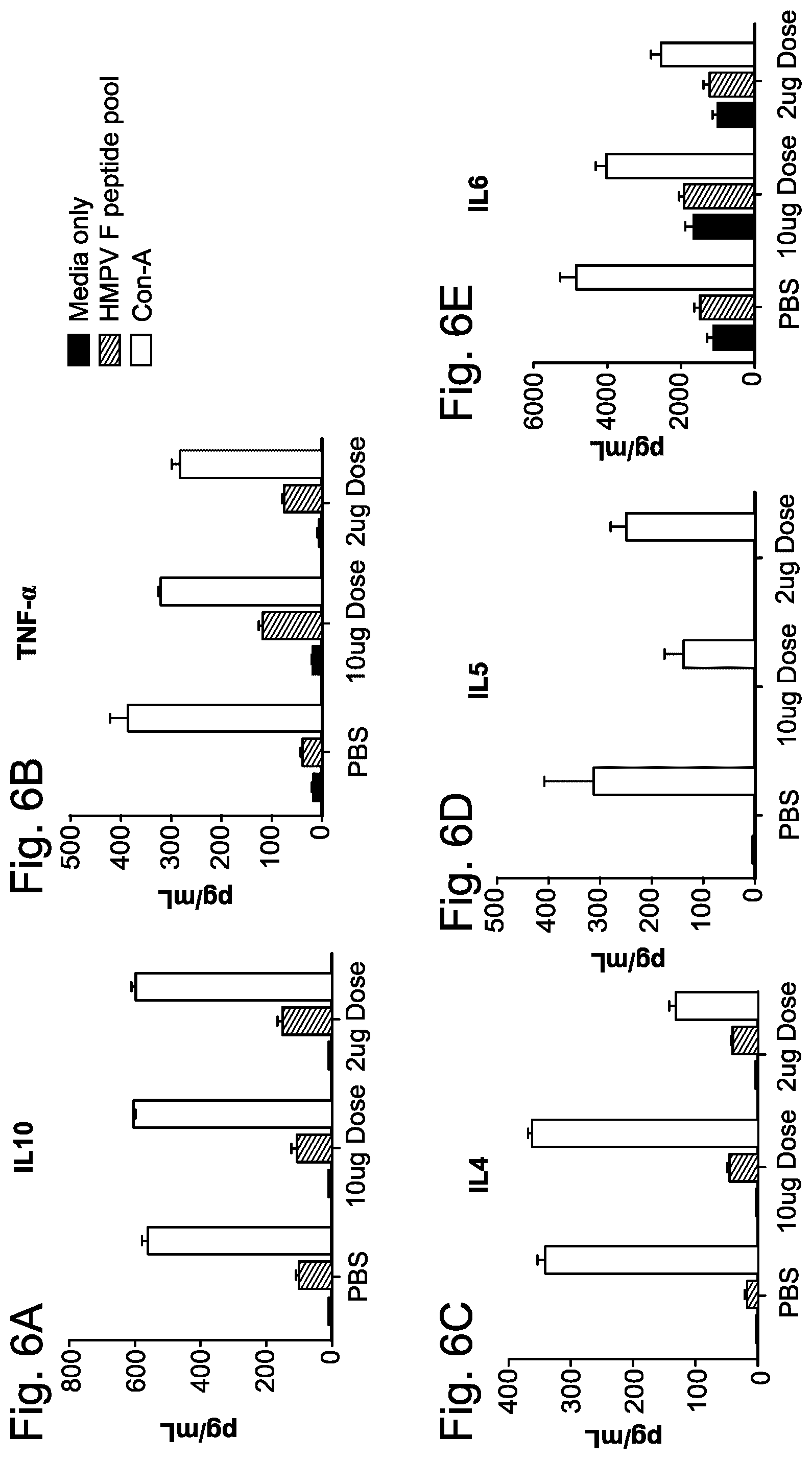 Patent US12403336 Figure 6 – Betacorona virus mRNA vaccines
