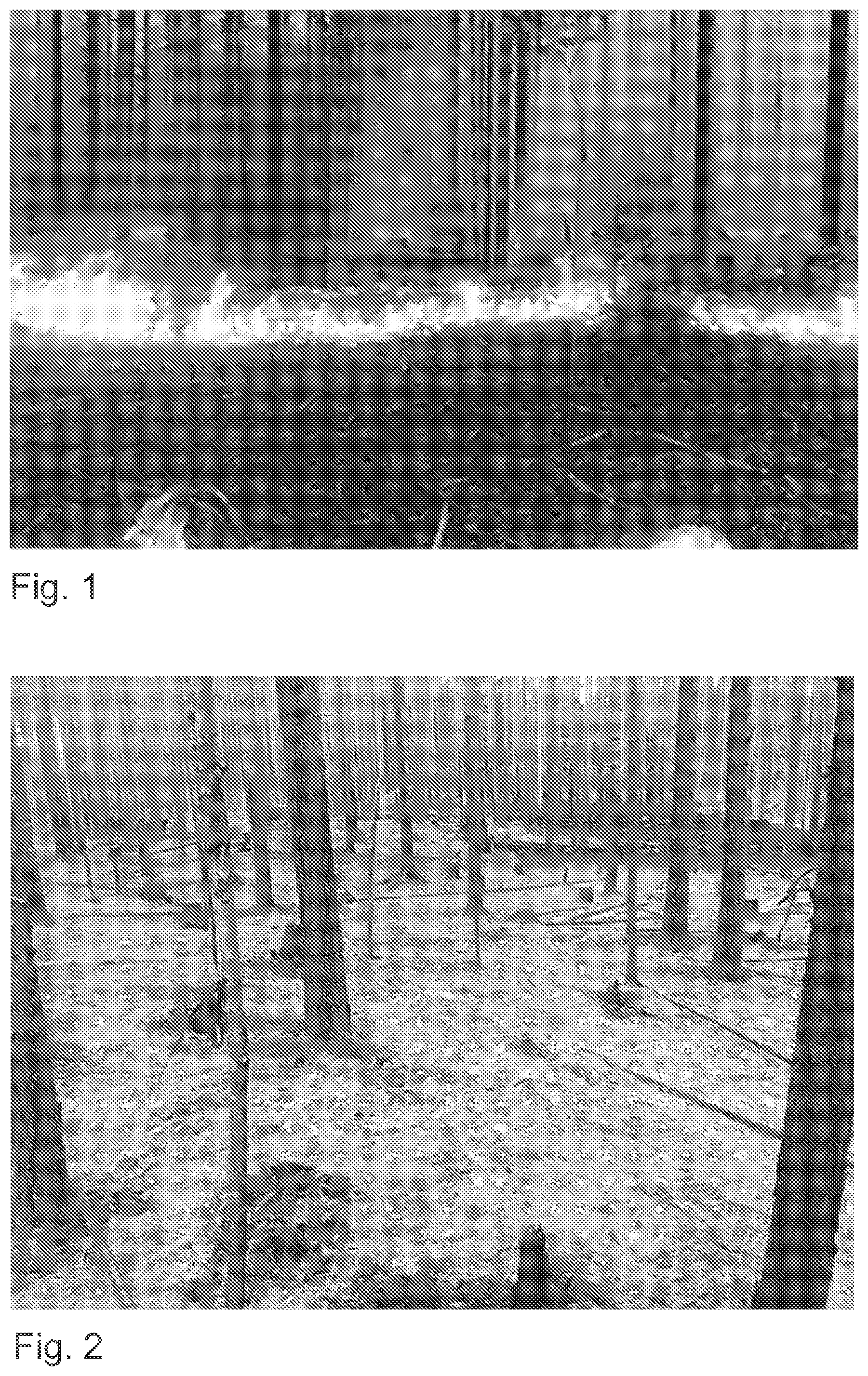 Patent US12403339 Figure 1 – Method and aqueous composition for preventing wildfire