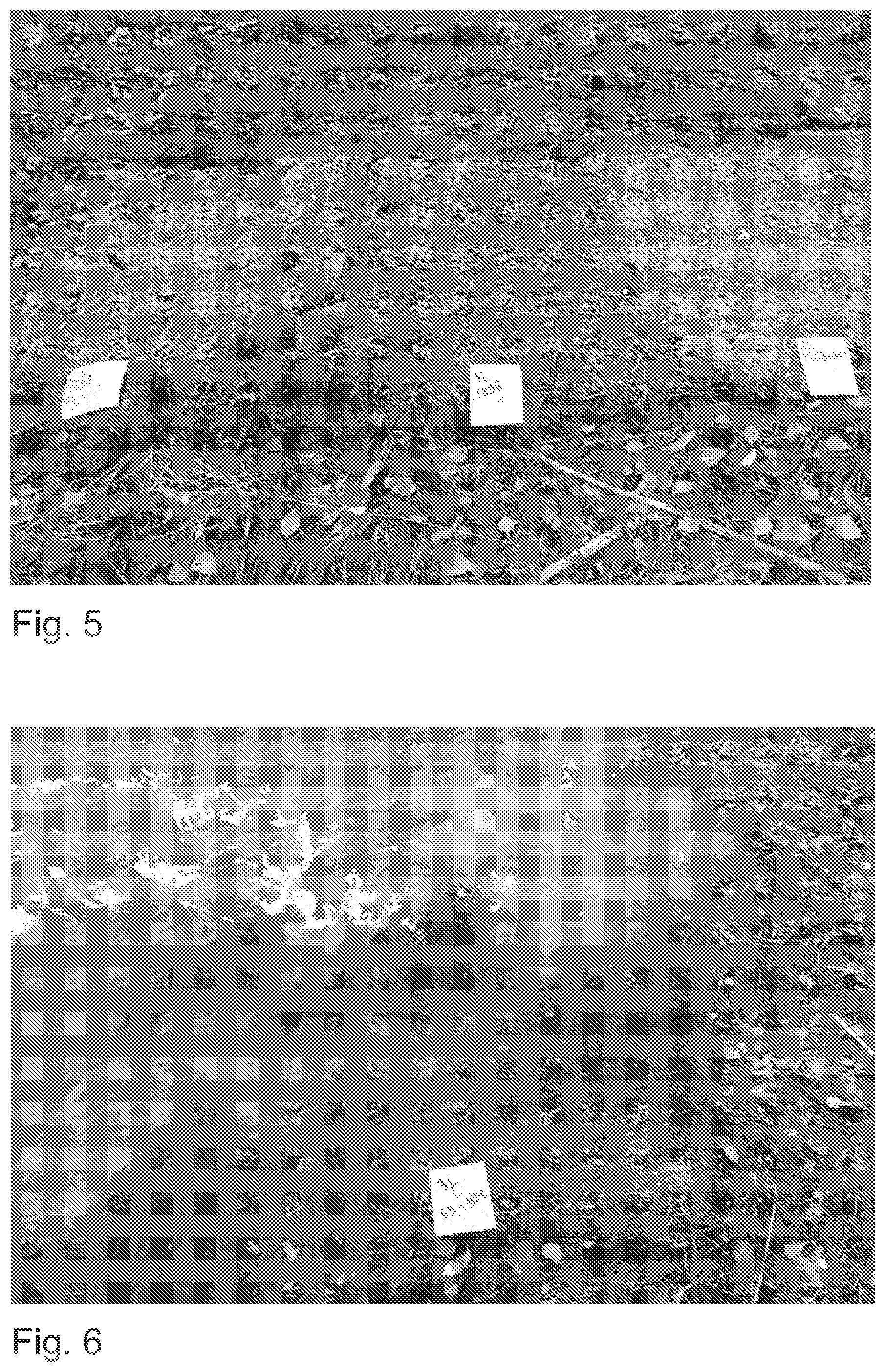Patent US12403339 Figure 3 – Method and aqueous composition for preventing wildfire
