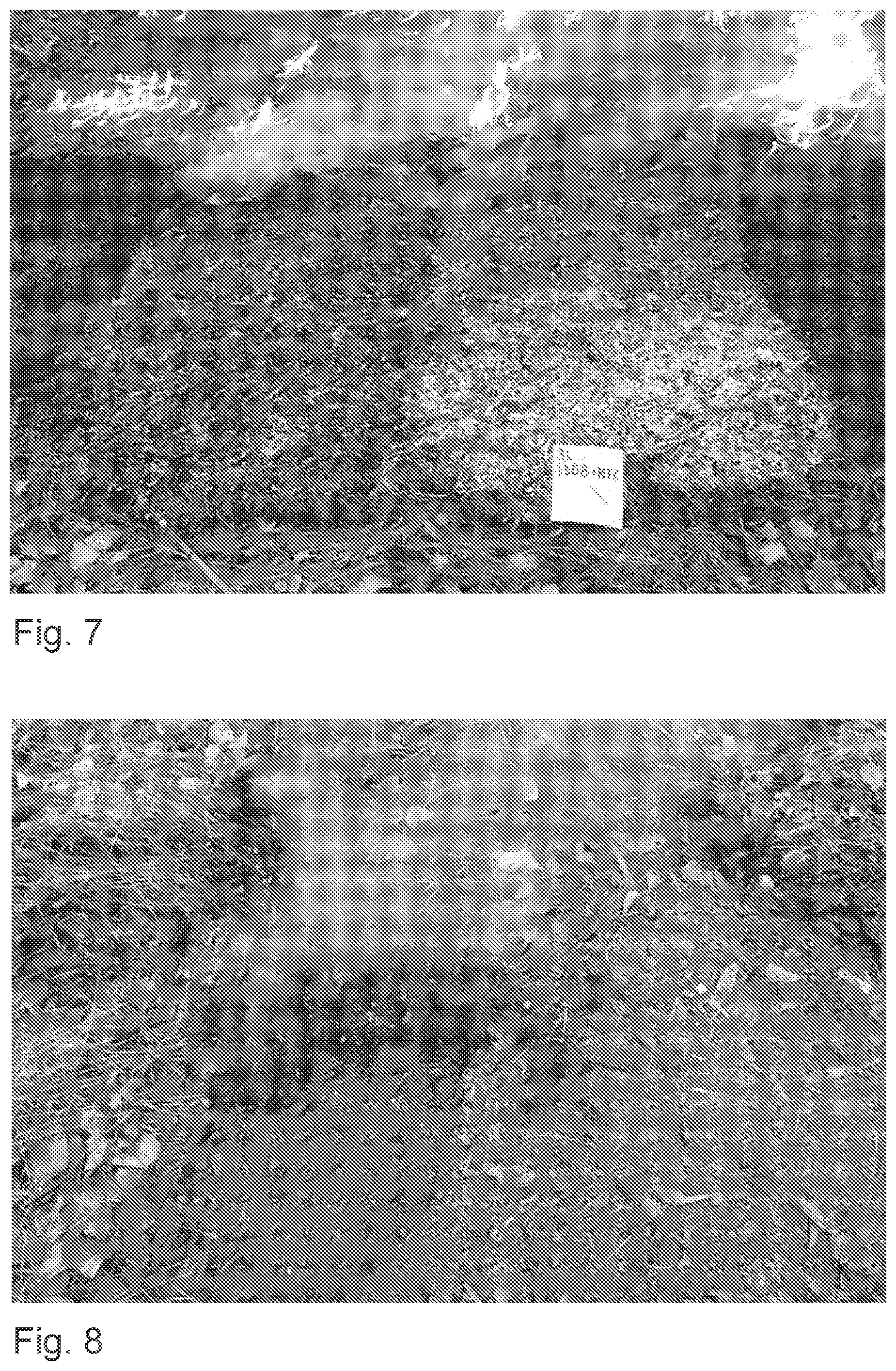 Patent US12403339 Figure 4 – Method and aqueous composition for preventing wildfire