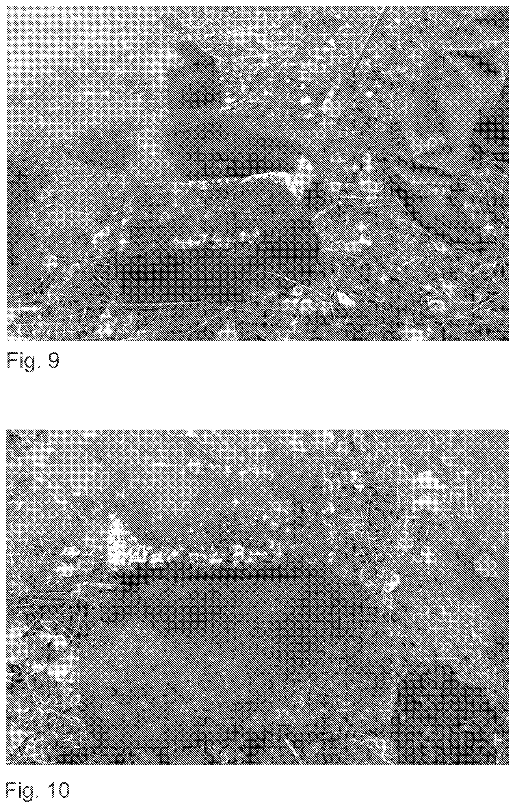 Patent US12403339 Figure 5 – Method and aqueous composition for preventing wildfire
