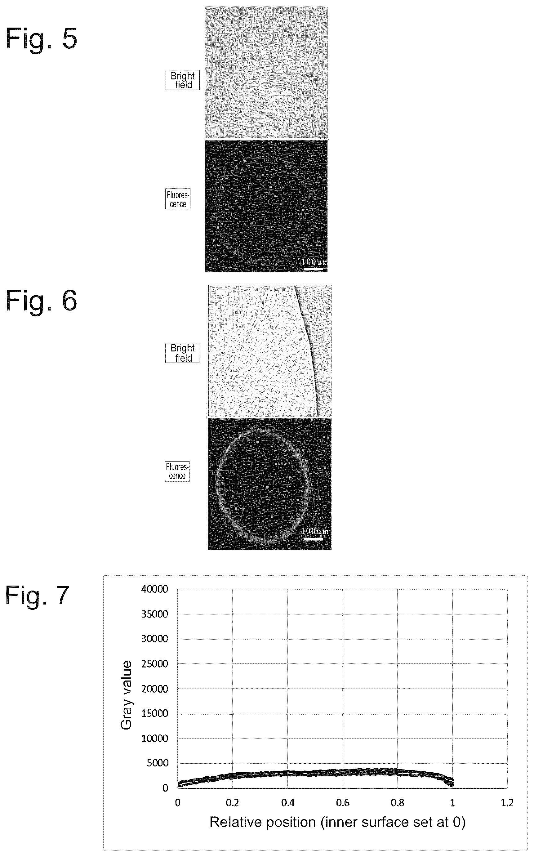 Patent US12403428 Figure 2 – Evaluation method for protein-containing solution