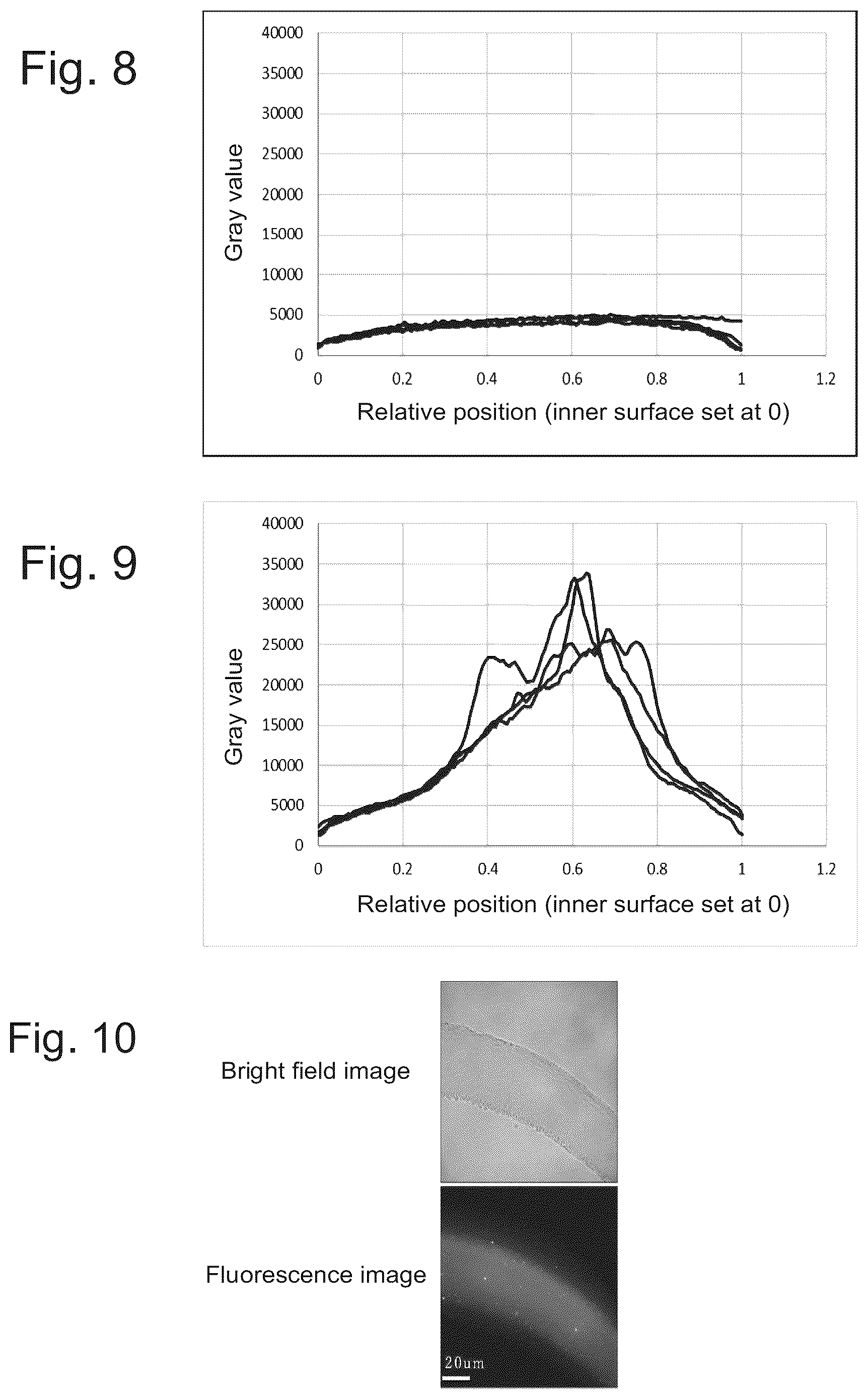 Patent US12403428 Figure 3 – Evaluation method for protein-containing solution