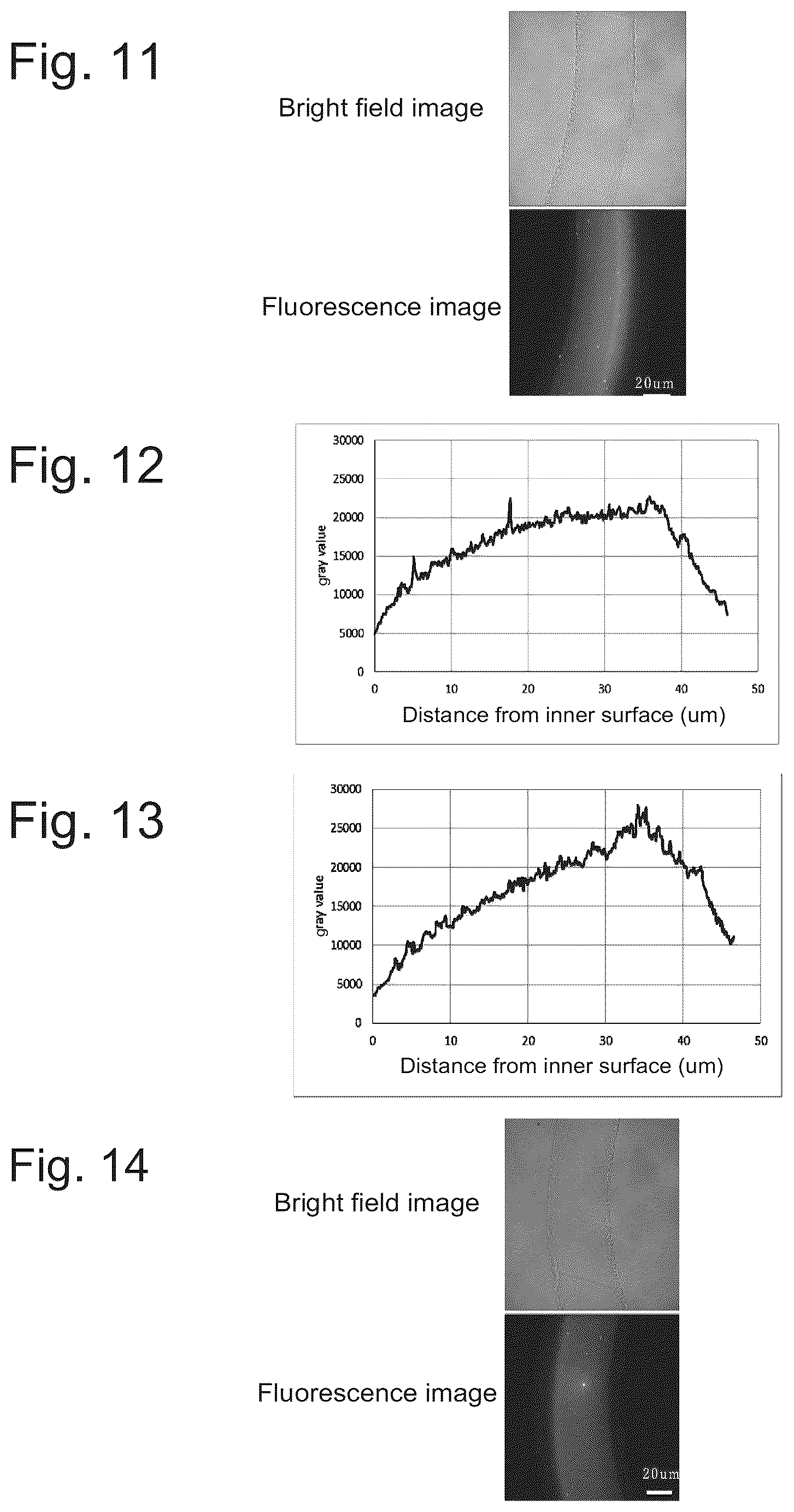 Patent US12403428 Figure 4 – Evaluation method for protein-containing solution