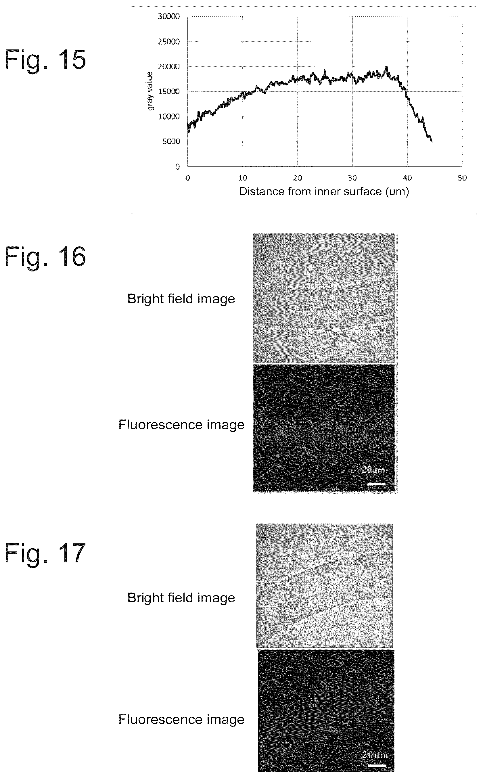 Patent US12403428 Figure 5 – Evaluation method for protein-containing solution