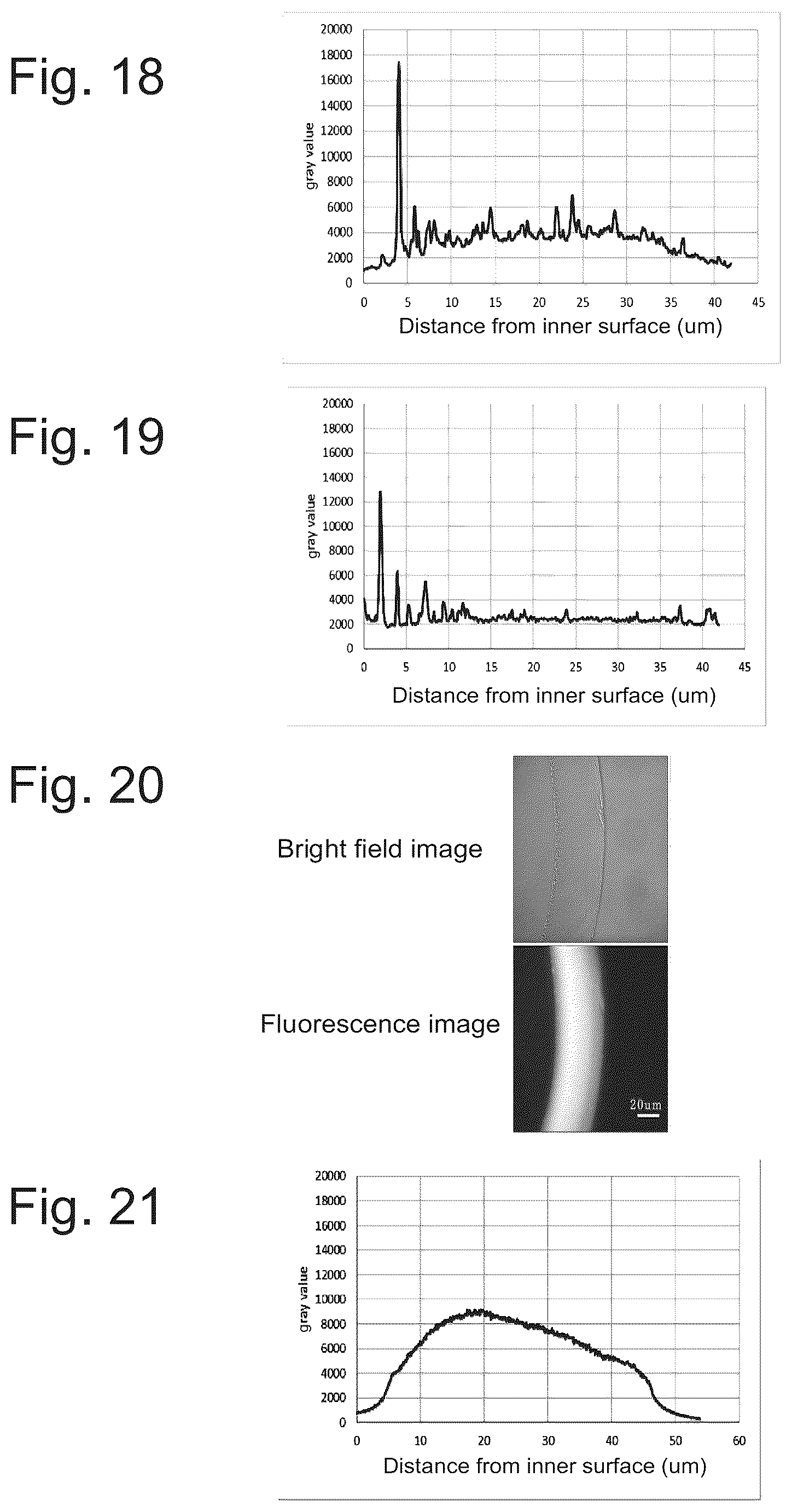 Patent US12403428 Figure 6 – Evaluation method for protein-containing solution