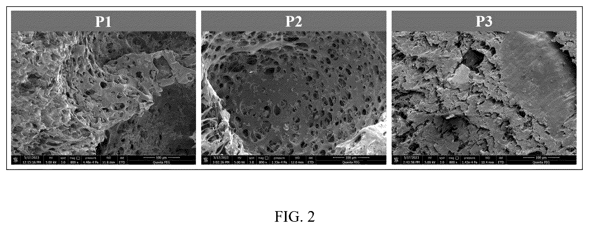 Patent US12403450 Figure 2 – Denitrification and dephosphorization composite filler, preparation method and application