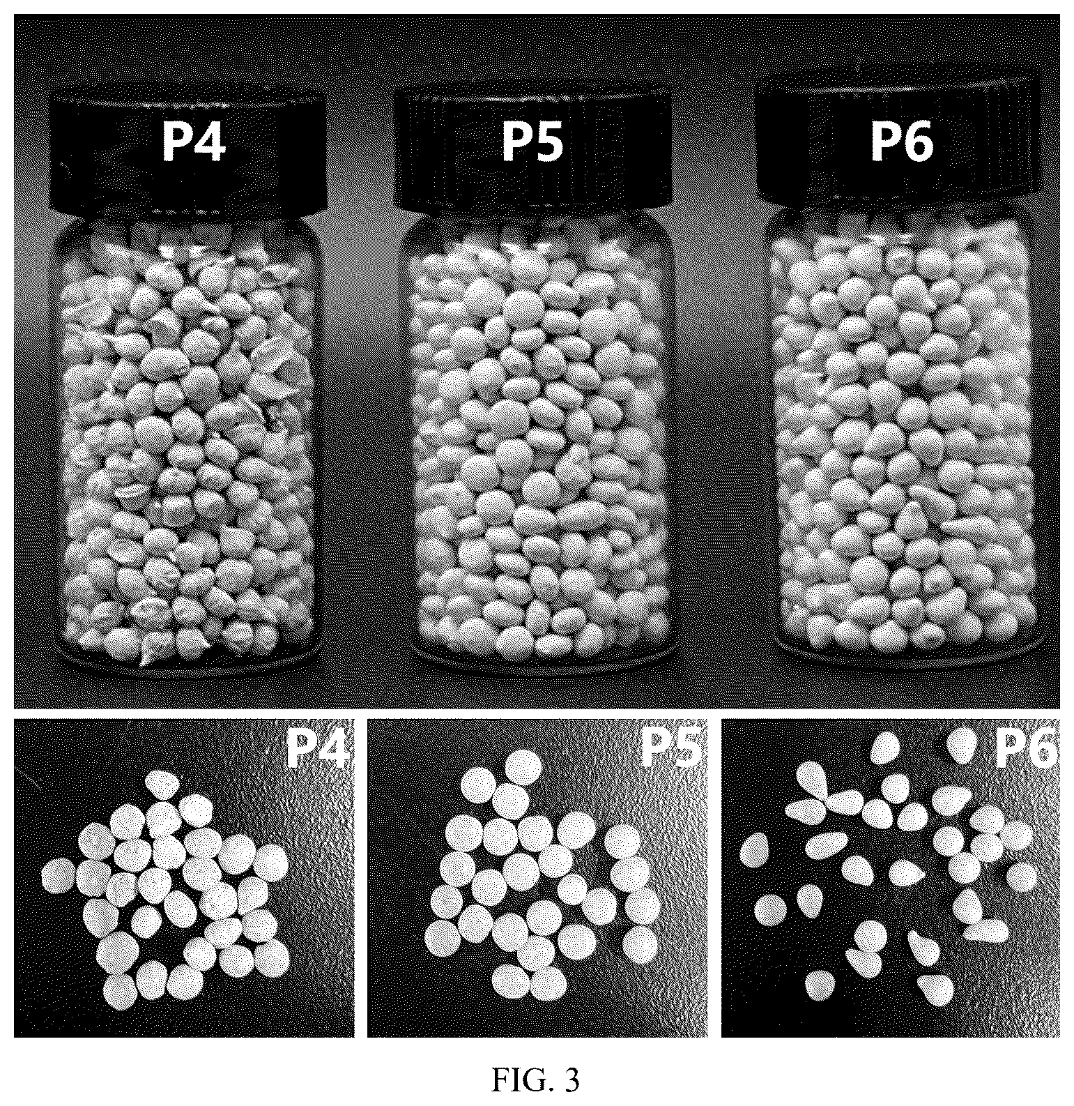 Patent US12403450 Figure 3 – Denitrification and dephosphorization composite filler, preparation method and application