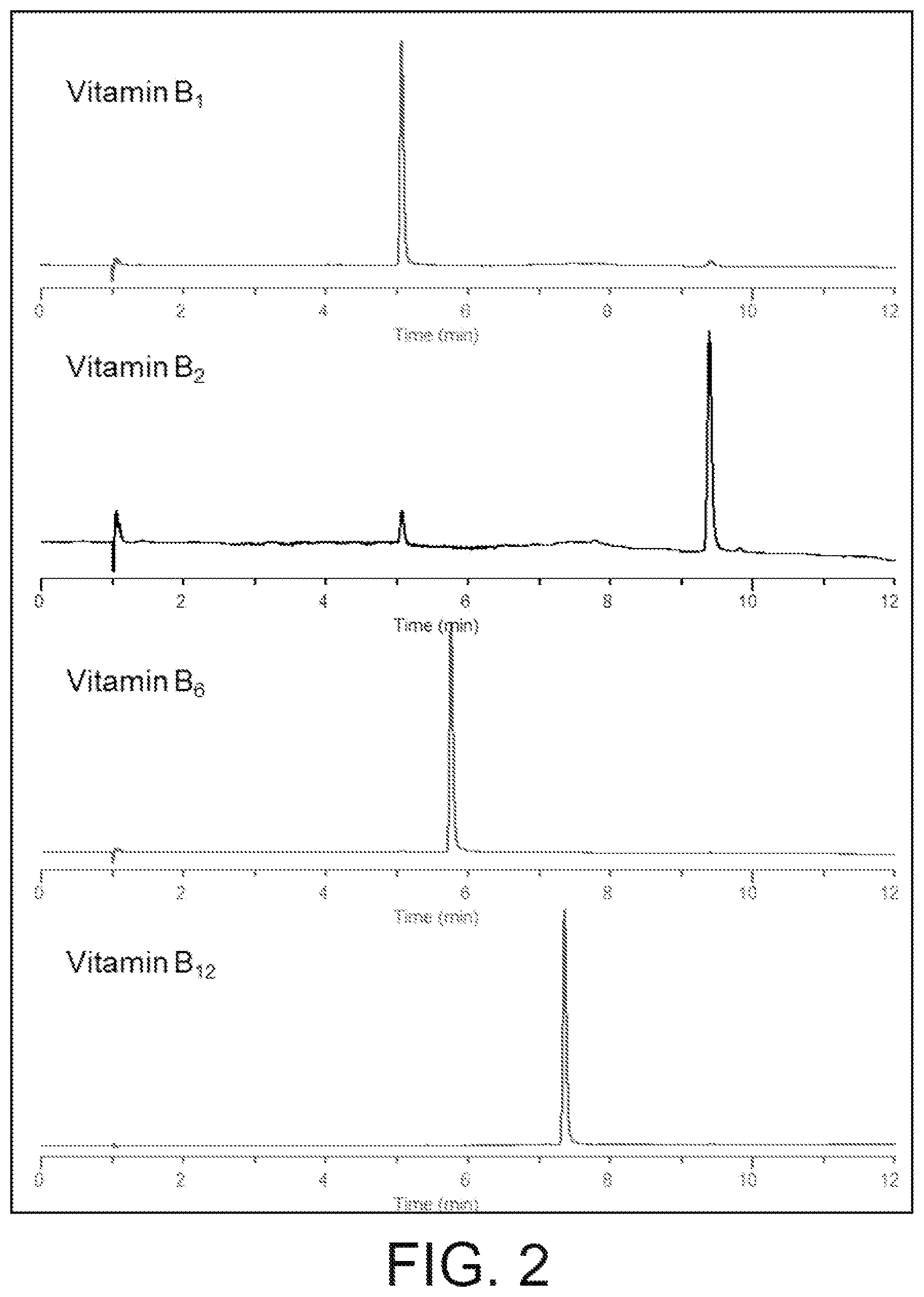 Patent US12403452 Figure 2 – Stationary phase for chromatography