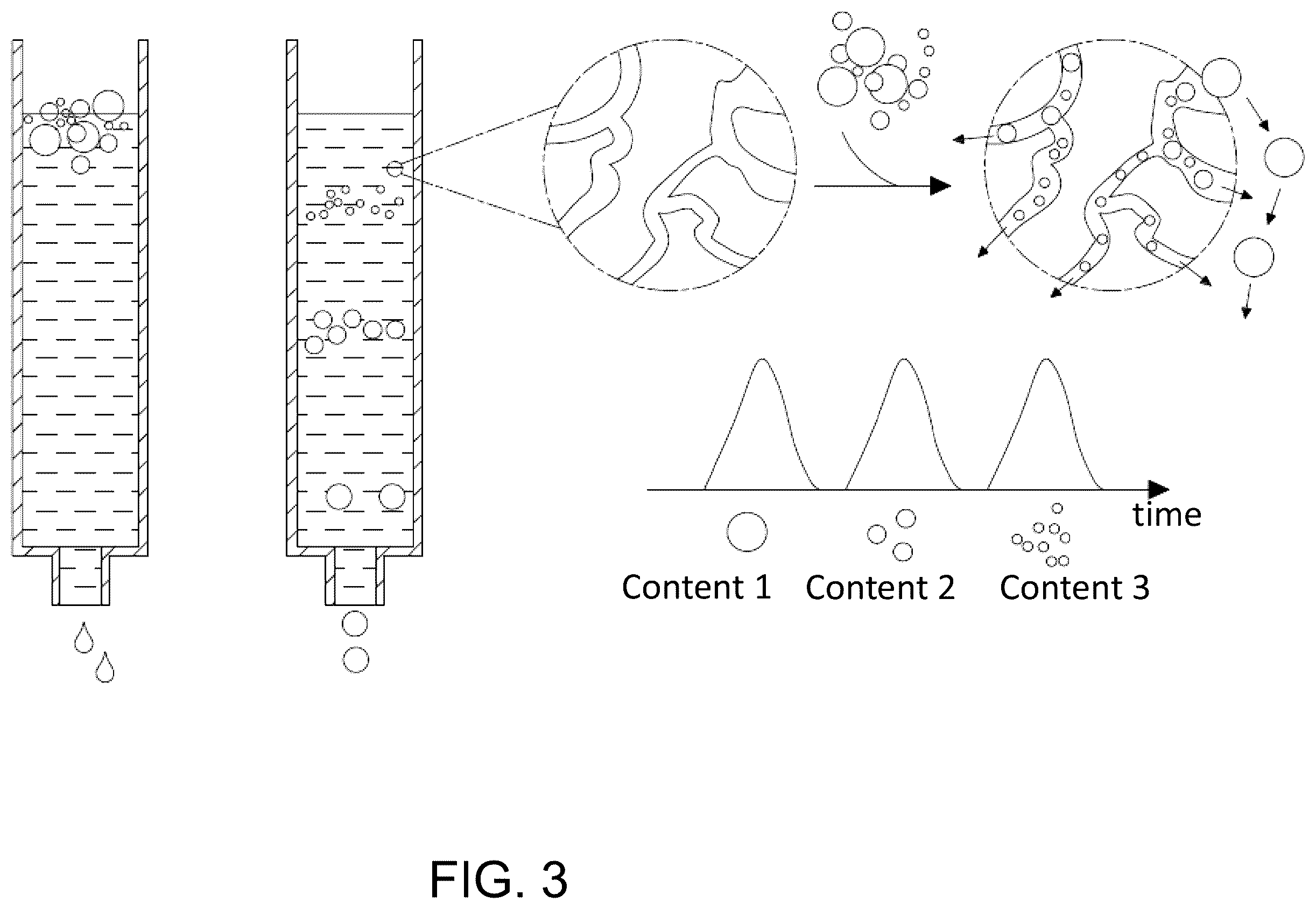 Patent US12403453 Figure 3 – Stationary phase medium for adsorption chromatography and manufacturing method thereof