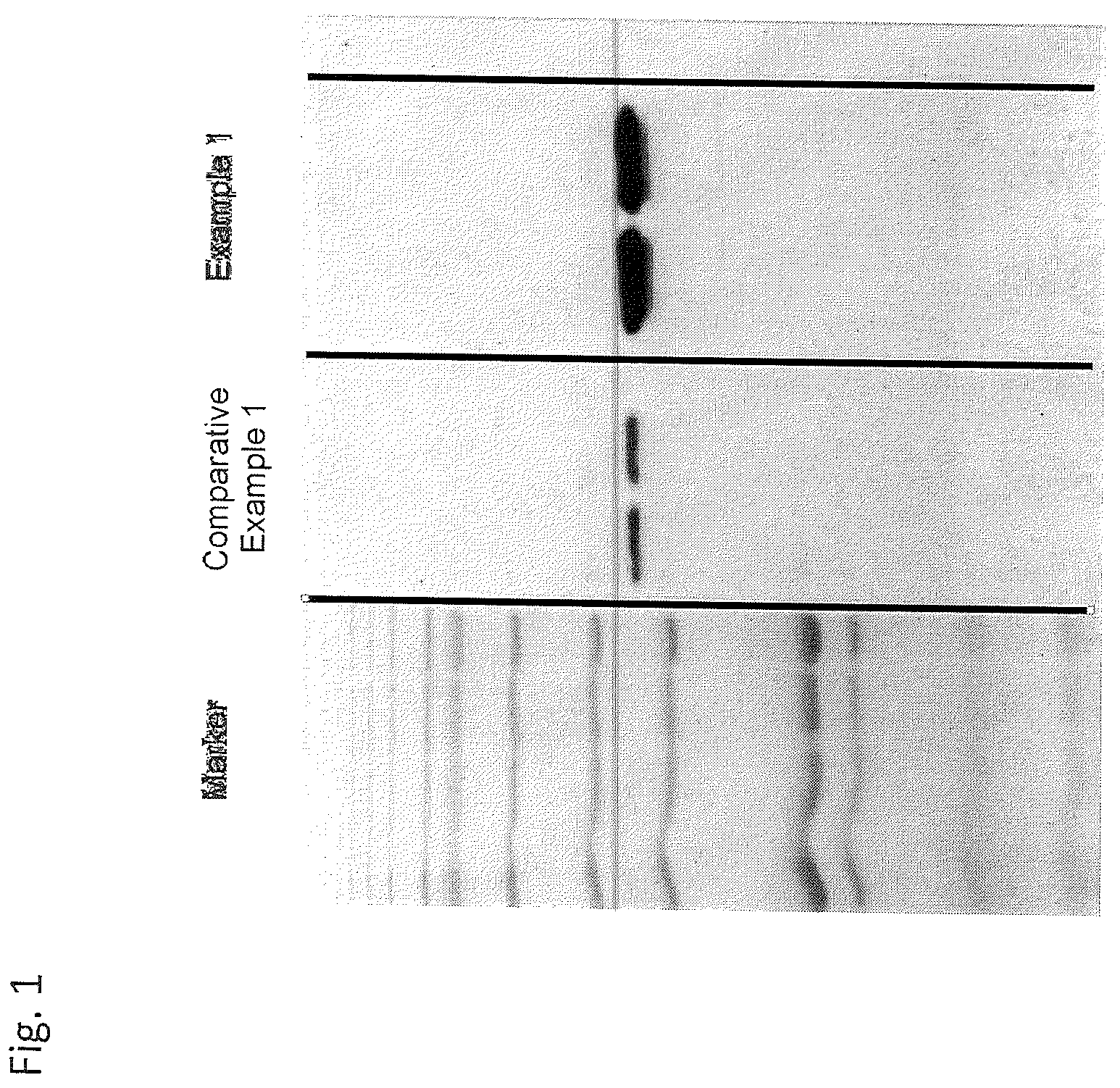 Patent US12403461 Figure 1 – Solid-phase chelator material, method for producing thereof and use thereof for the purification of proteins