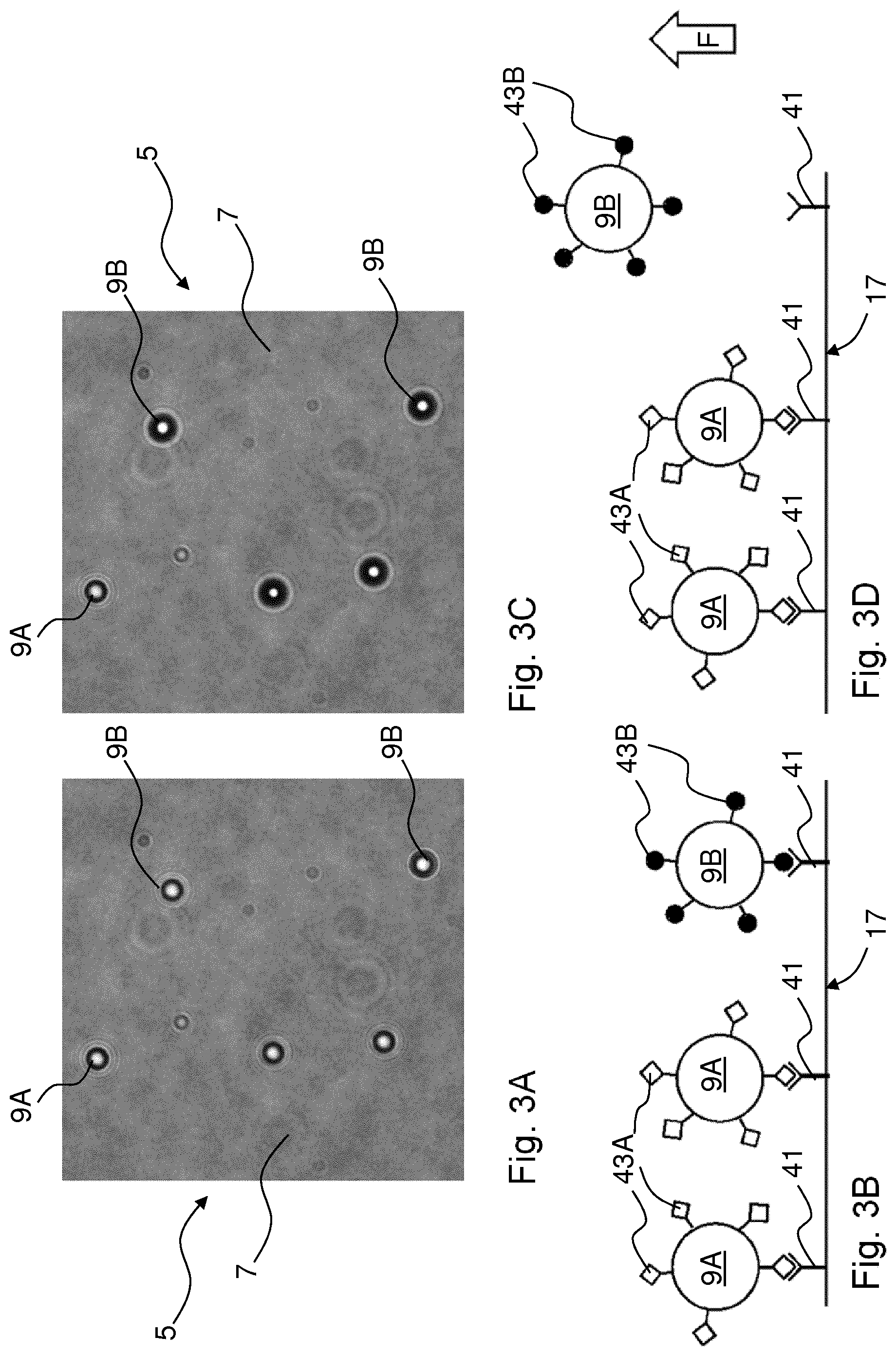 Patent US12403474 Figure 2 – Method and system for studying biological cells