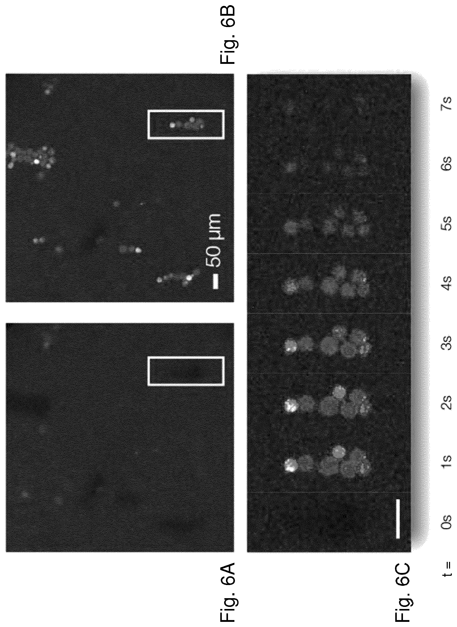 Patent US12403474 Figure 5 – Method and system for studying biological cells