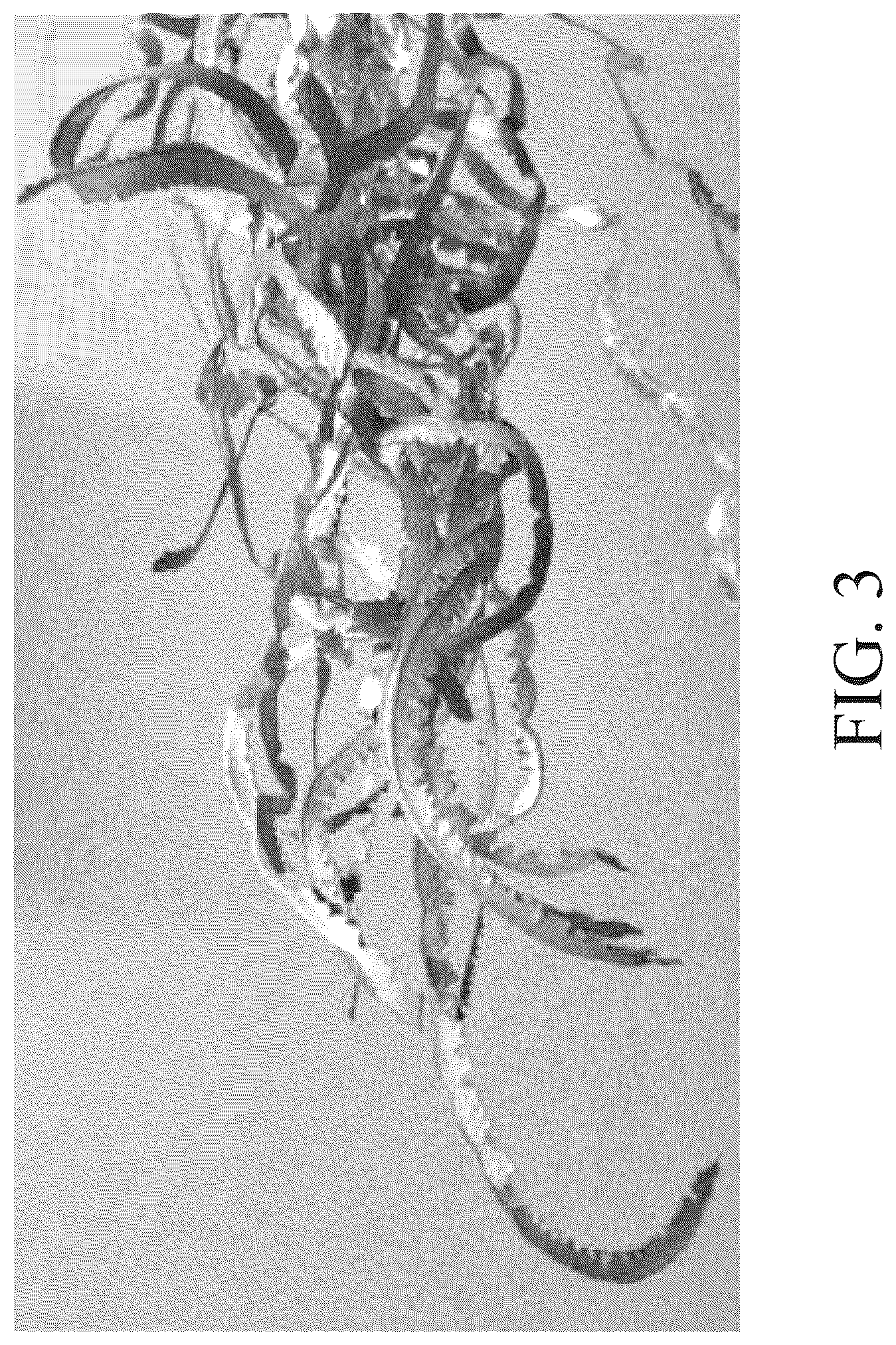 Patent US12403516 Figure 6 – Shape processes, feedstock materials, conductive materials and/or assemblies