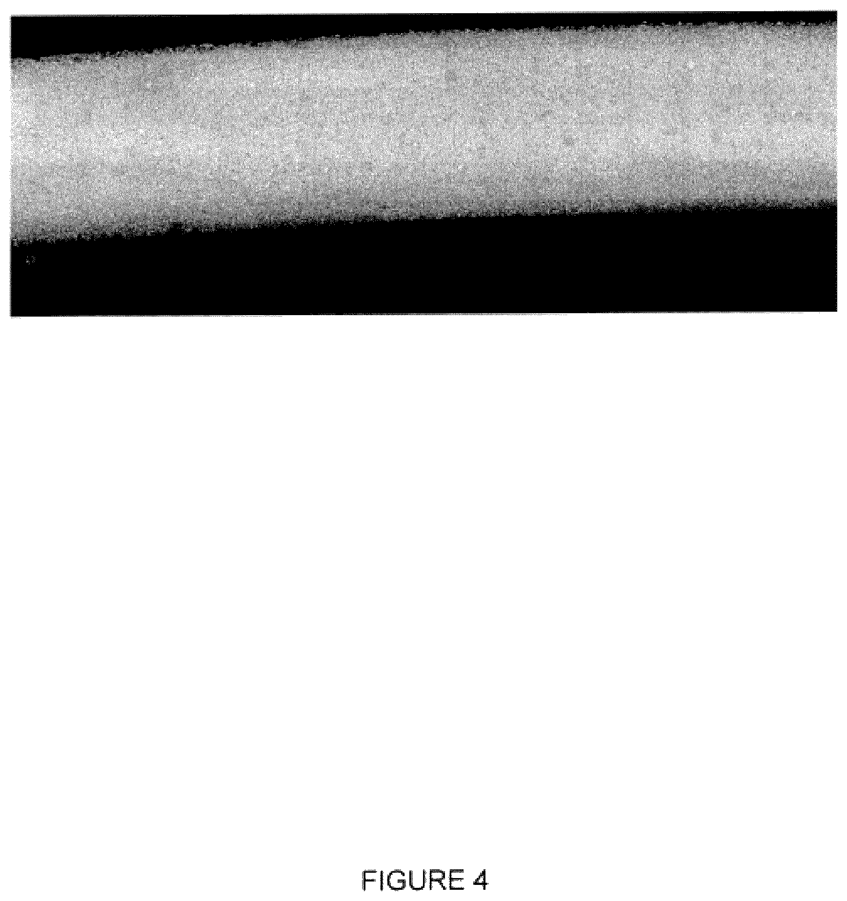 Patent US12403635 Figure 4 – Materials and methods