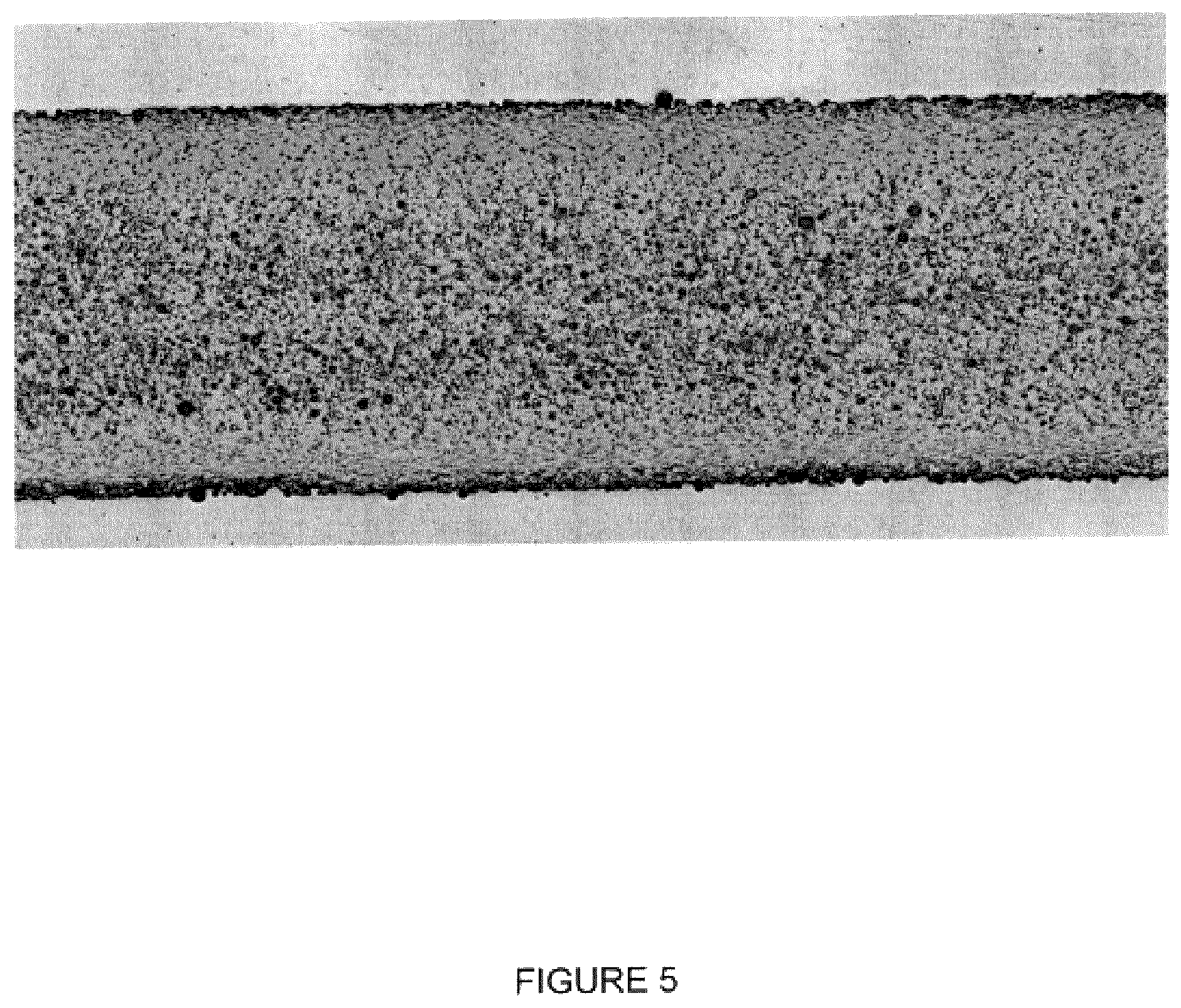 Patent US12403635 Figure 5 – Materials and methods