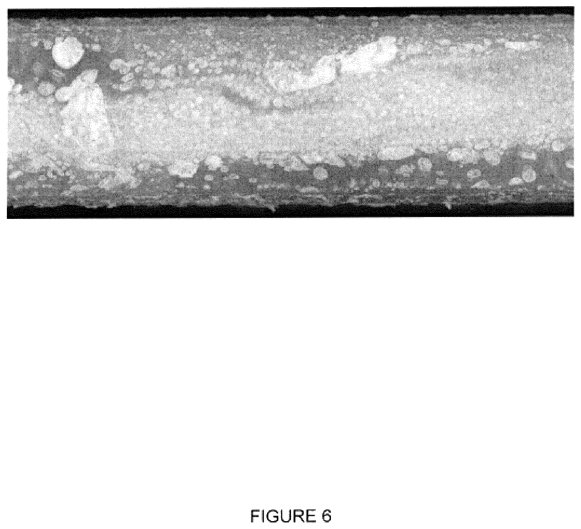 Patent US12403635 Figure 6 – Materials and methods