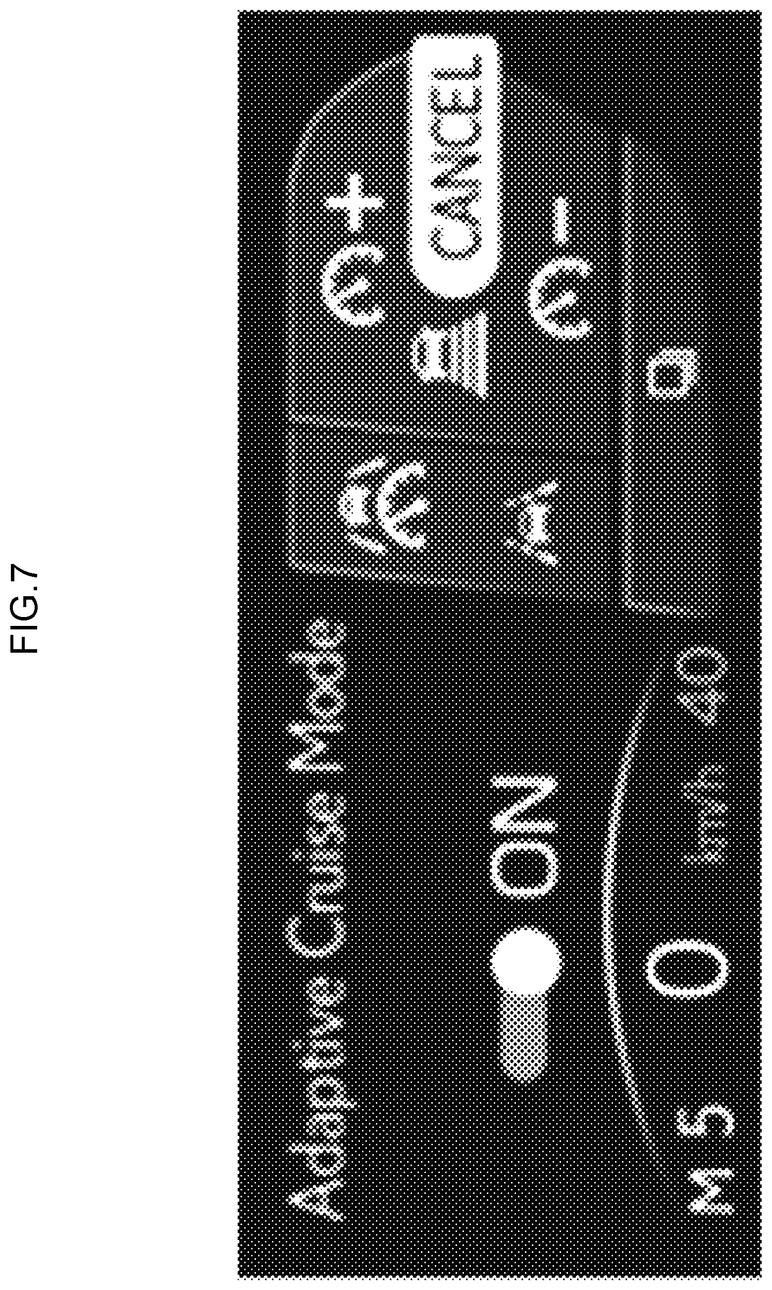 Patent US12403767 Figure 7 – Vehicular display control device, vehicular display device, vehicular display control method, and non-transitory recording medium