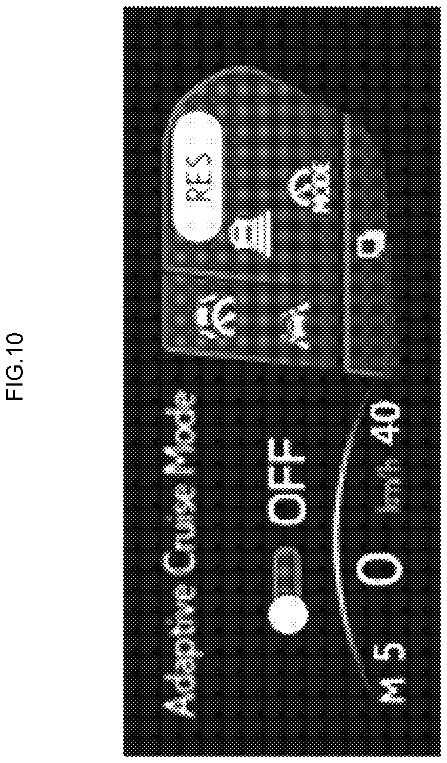 Patent US12403767 Figure 10 – Vehicular display control device, vehicular display device, vehicular display control method, and non-transitory recording medium