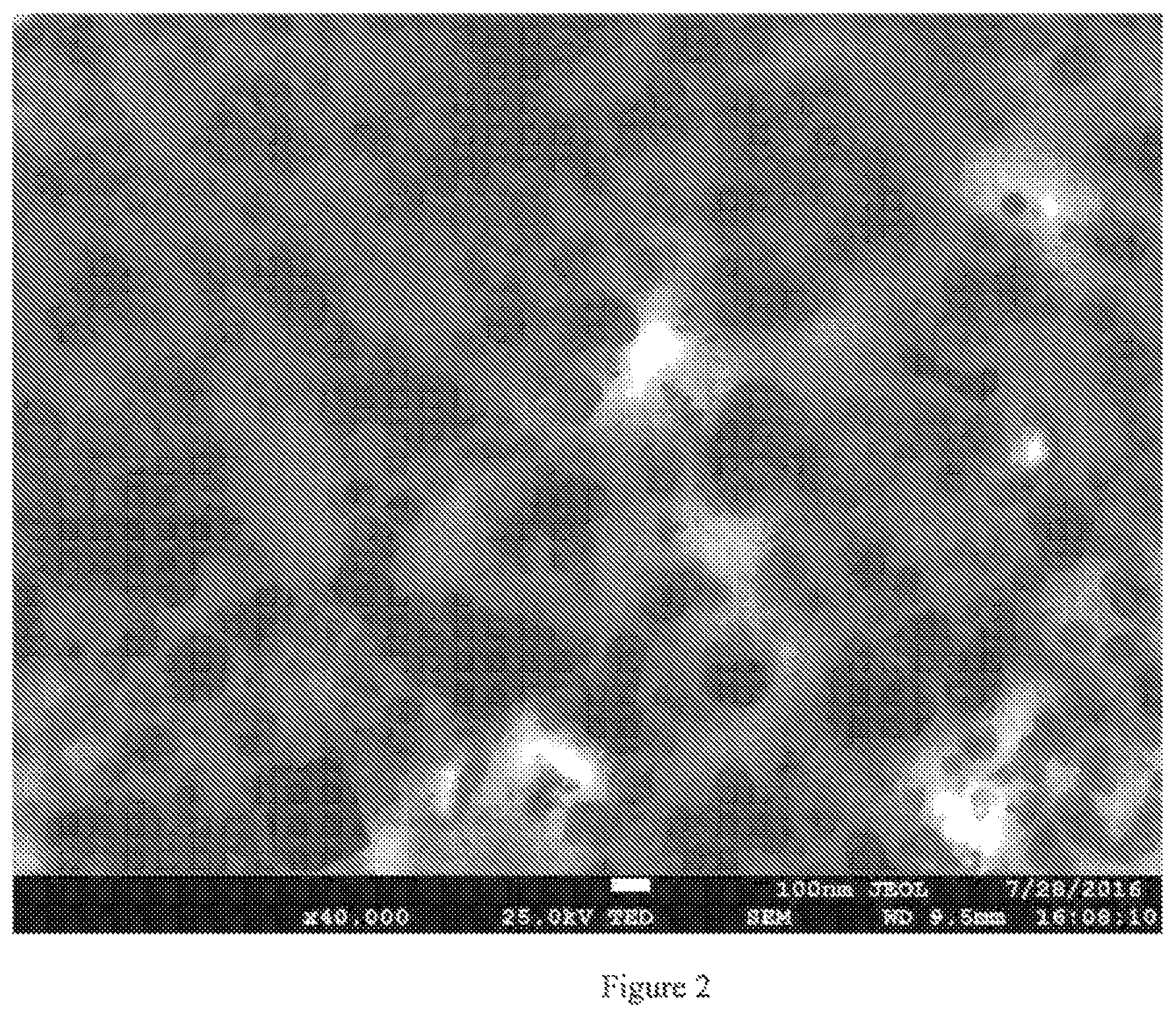 Patent US12410057 Figure 2 – Mixtures of discrete carbon nanotubes