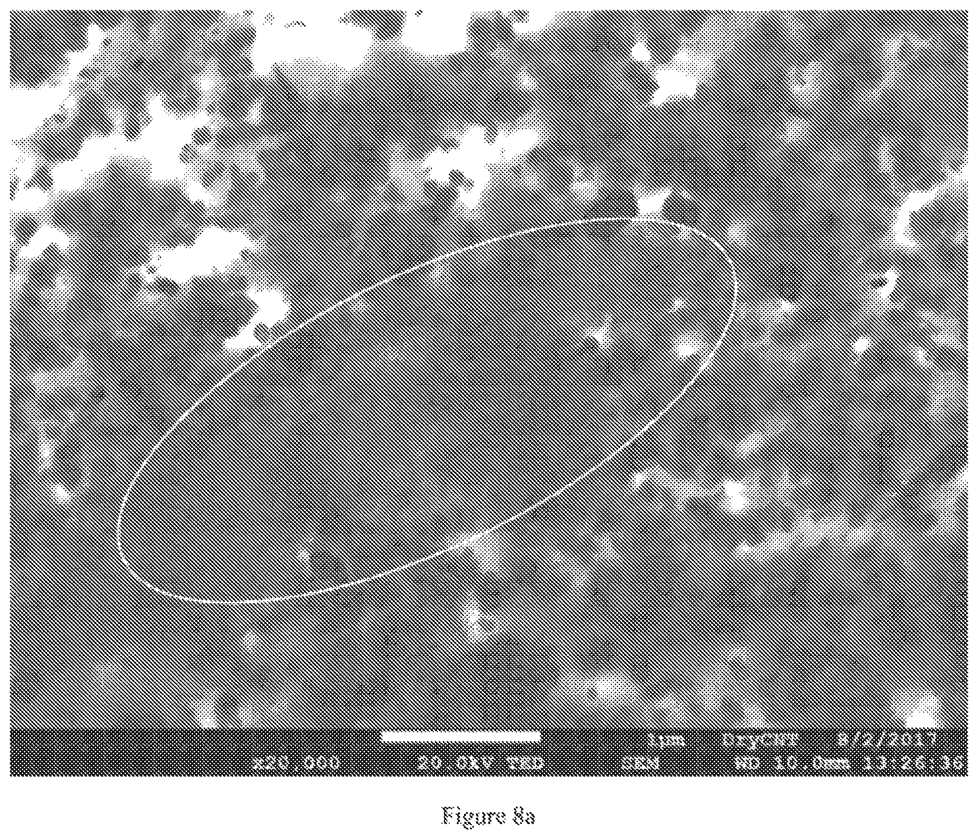 Patent US12410057 Figure 8 – Mixtures of discrete carbon nanotubes