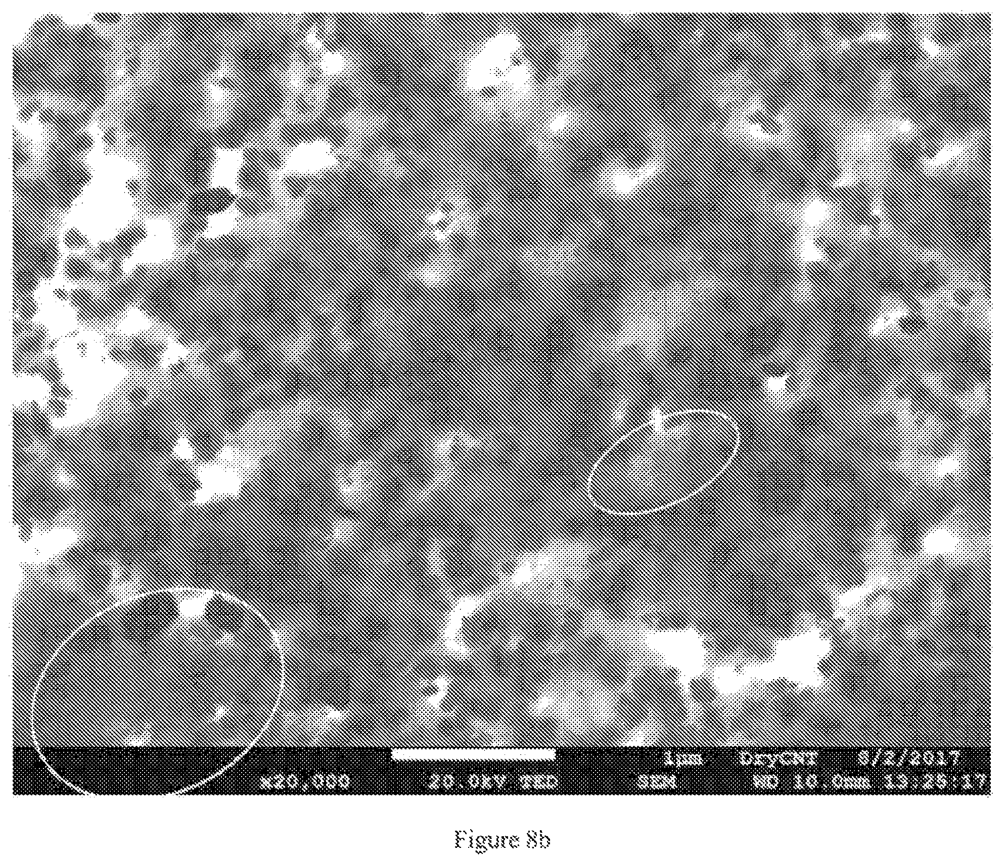 Patent US12410057 Figure 9 – Mixtures of discrete carbon nanotubes