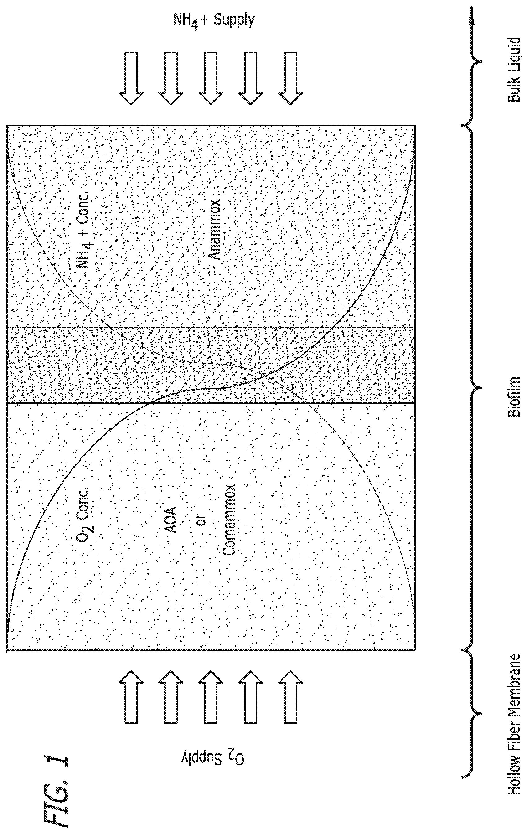 Patent US12410083 Figure 1 – Microbe-based systems, compositions, and methods thereof