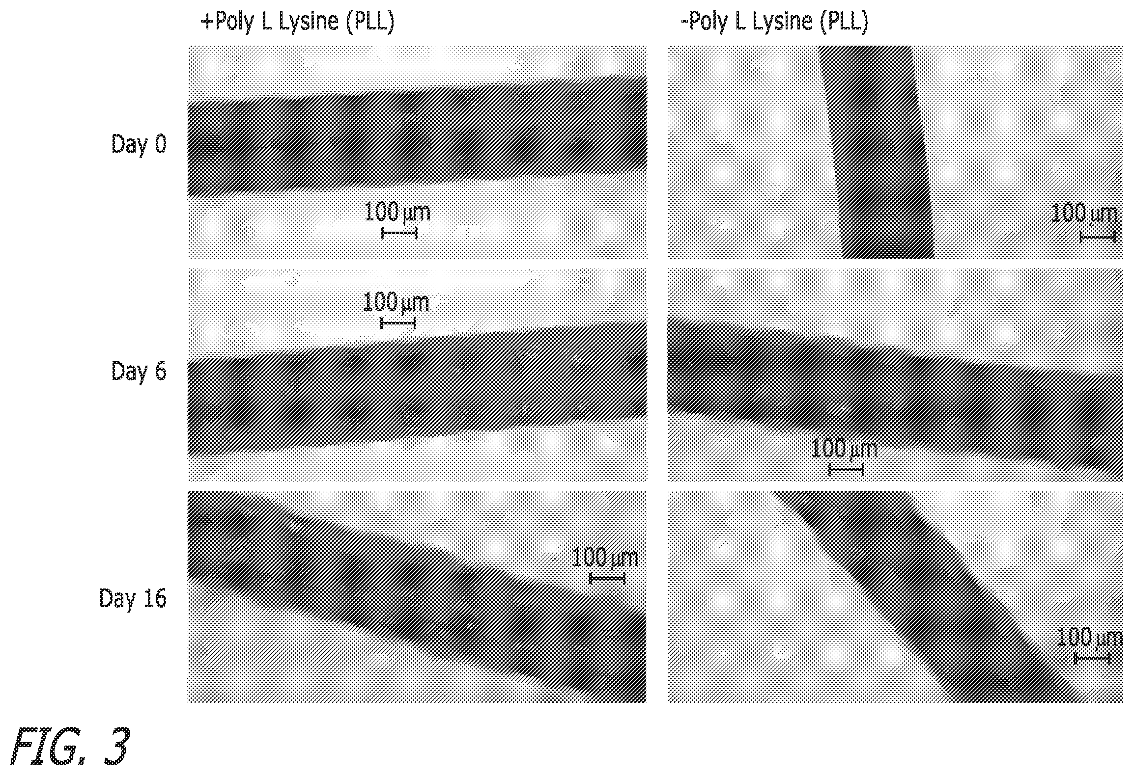 Patent US12410083 Figure 3 – Microbe-based systems, compositions, and methods thereof