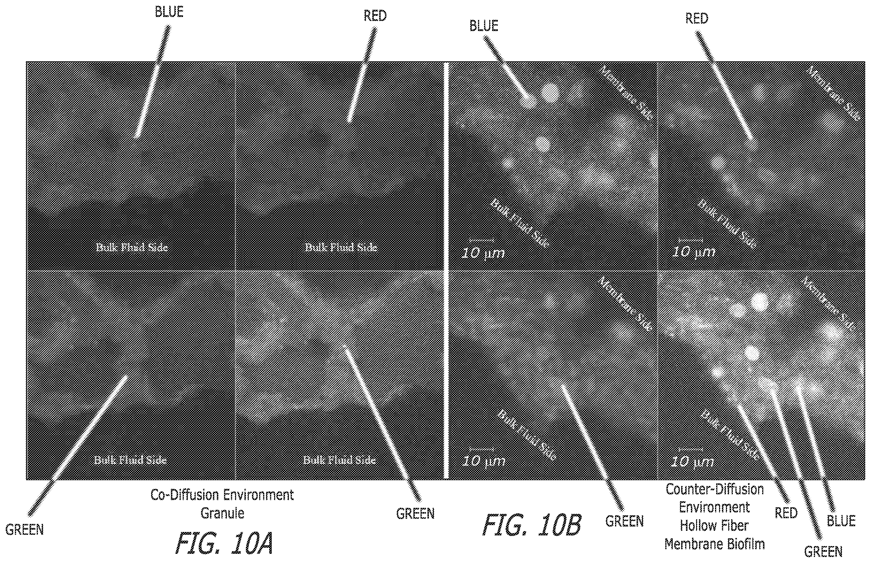 Patent US12410083 Figure 10 – Microbe-based systems, compositions, and methods thereof