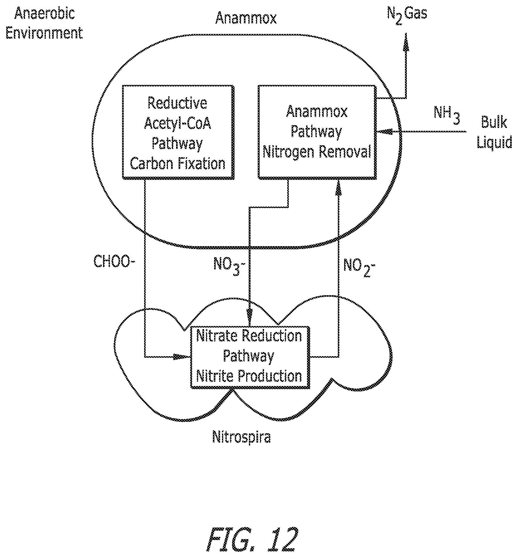 Patent US12410083 Figure 12 – Microbe-based systems, compositions, and methods thereof