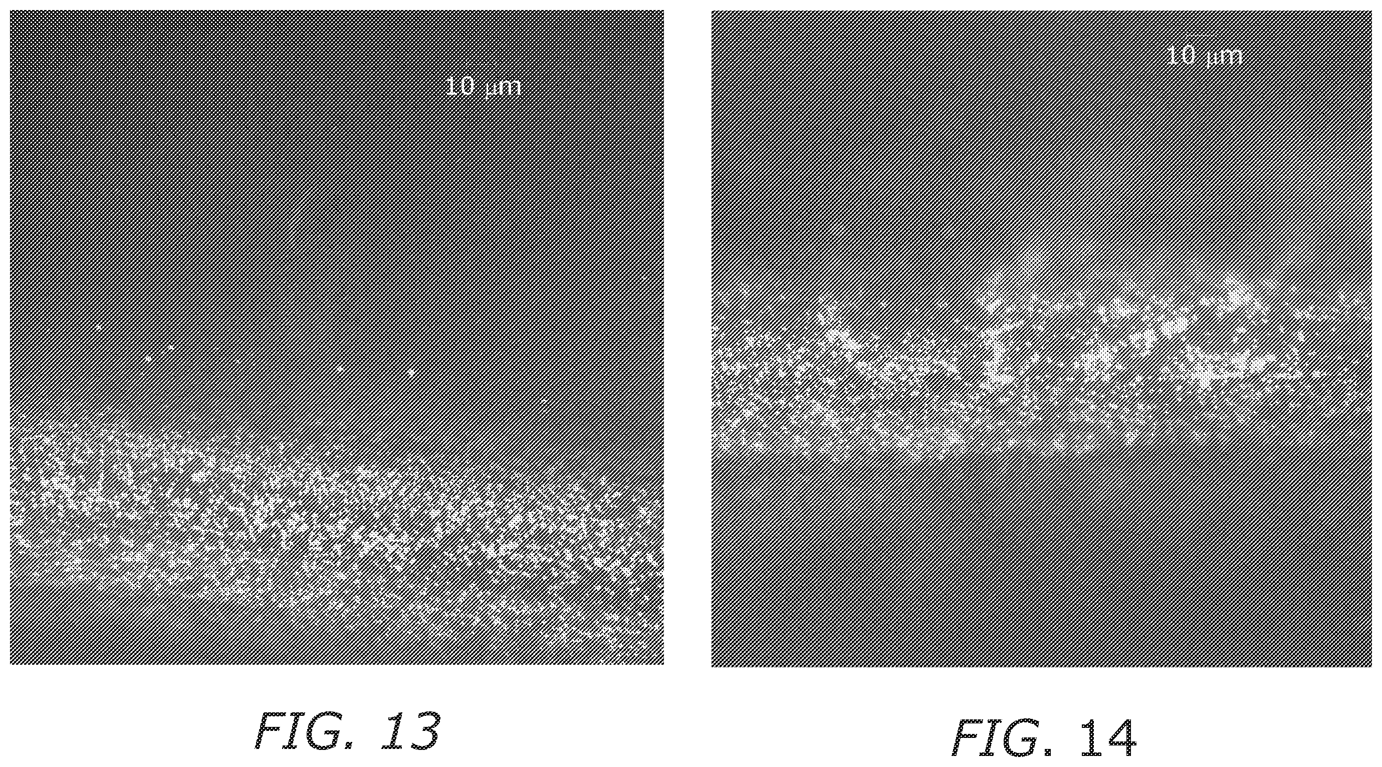 Patent US12410083 Figure 13 – Microbe-based systems, compositions, and methods thereof