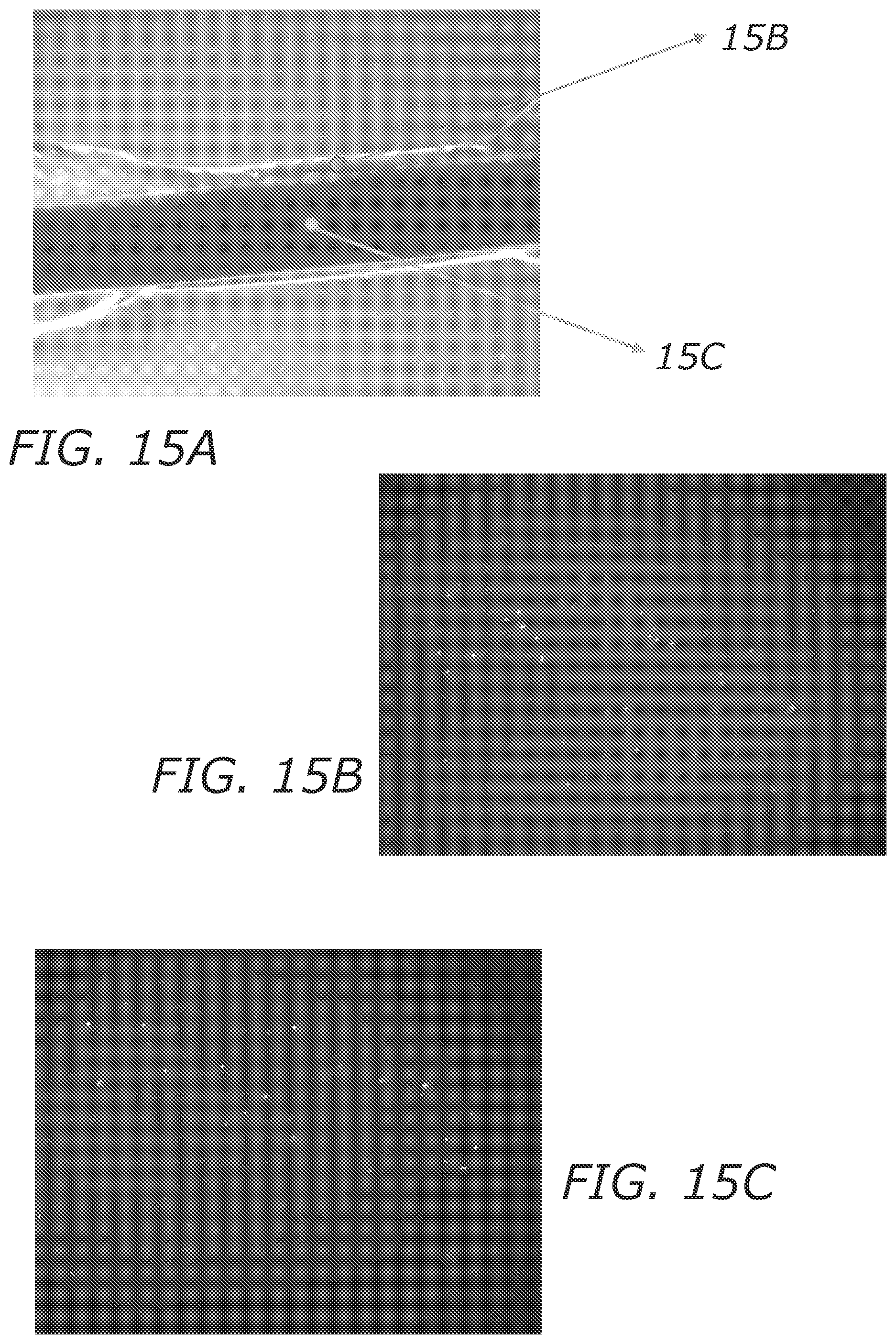 Patent US12410083 Figure 14 – Microbe-based systems, compositions, and methods thereof