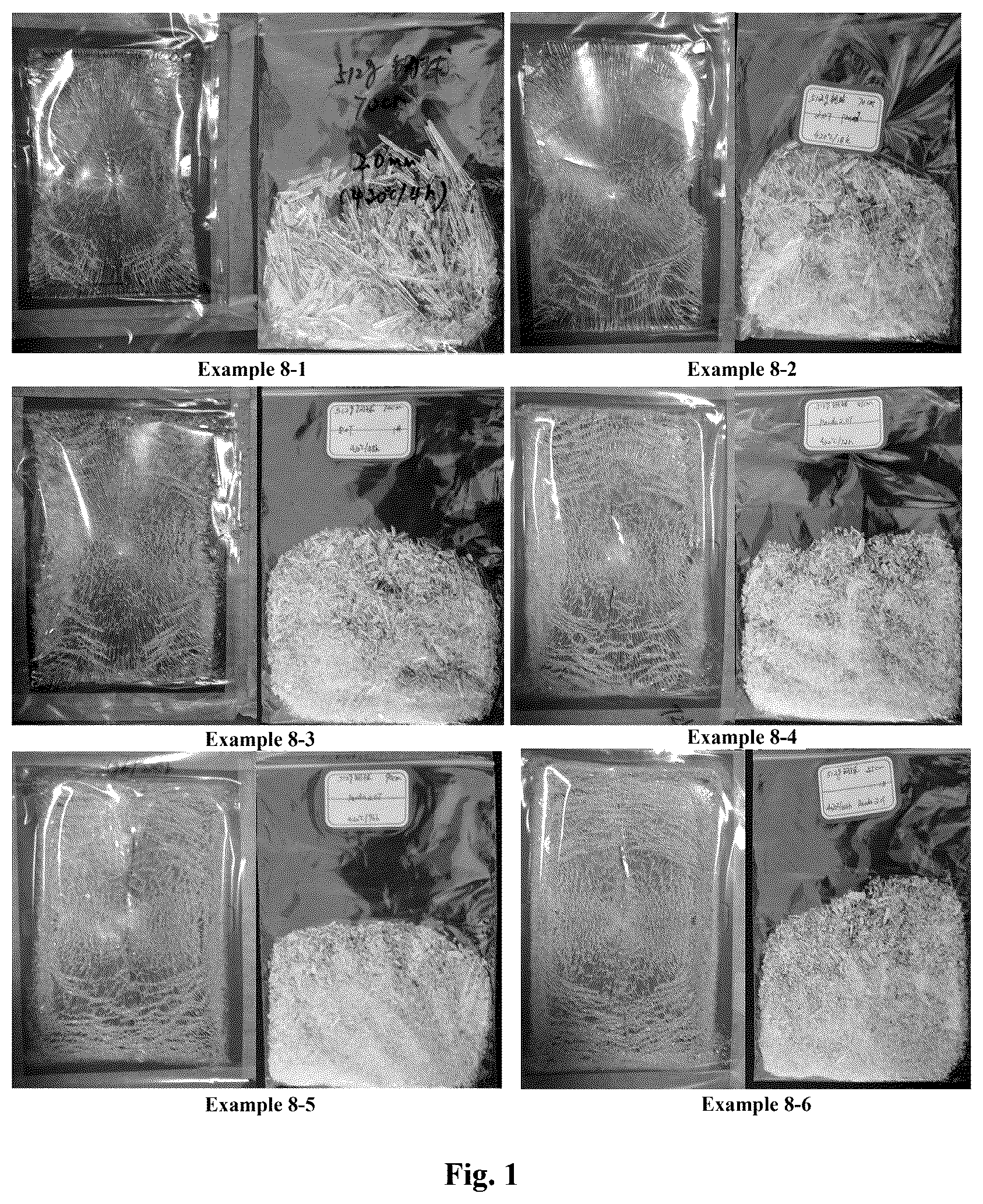 Patent US12410089 — Protective glass plate with the property of impact stress resistance — Figure 1