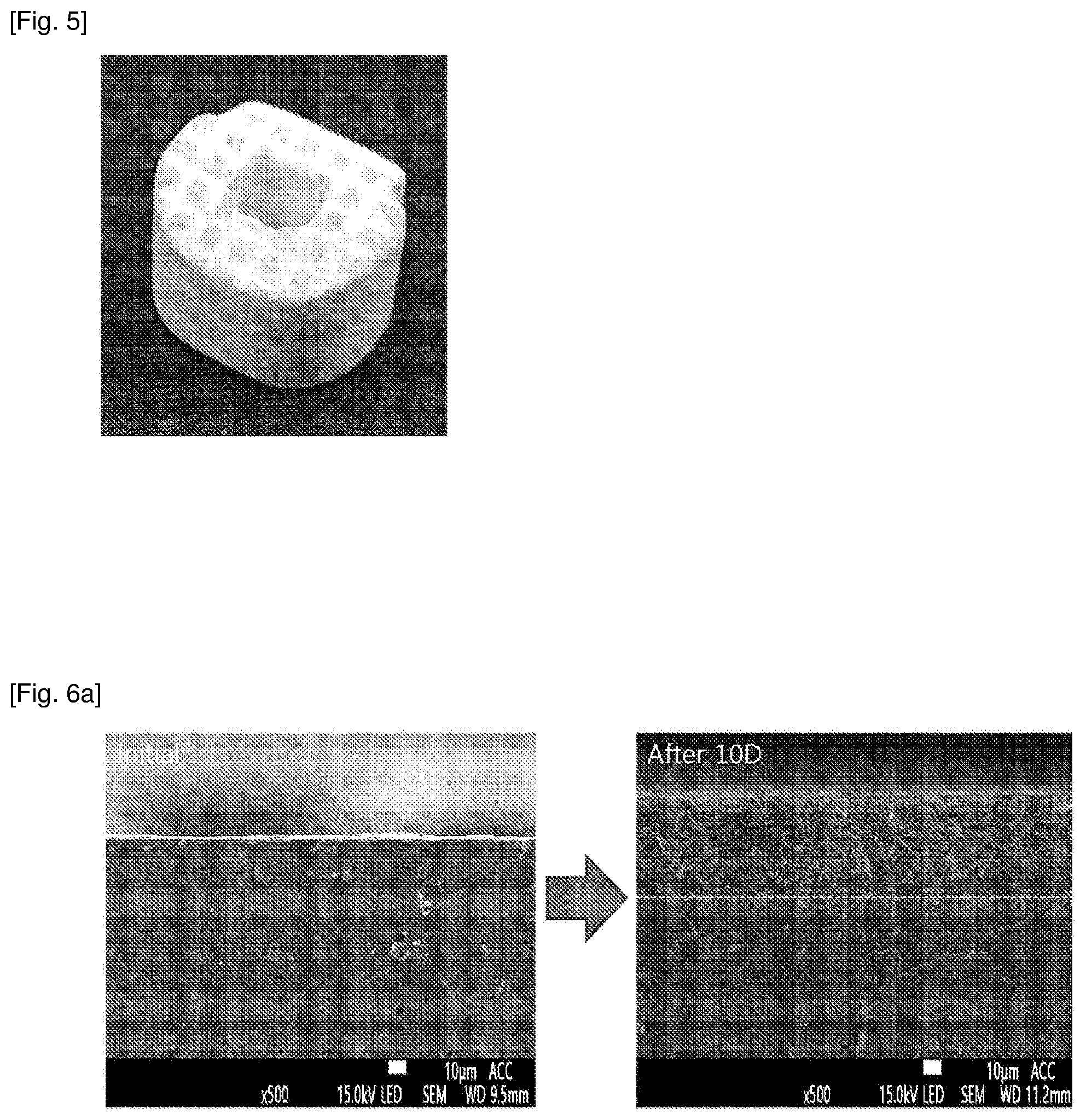 Patent US12410091 Figure 4 – Bioactive crystallized glass ceramic comprising wollastonite, hydroxyapatite and diopside, and use thereof