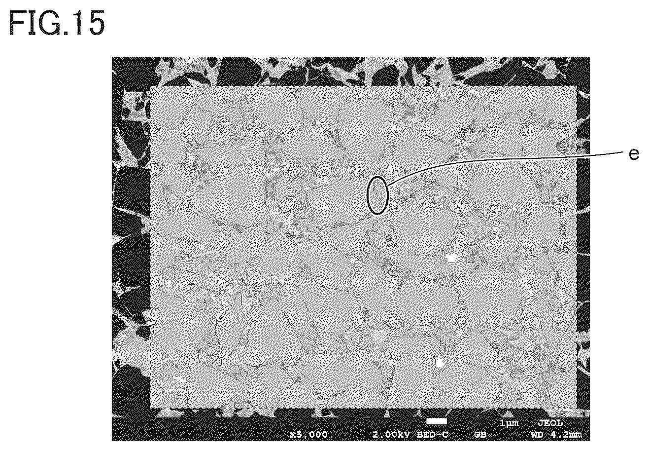 Patent US12410103 Figure 14 – Cubic boron nitride sintered material and cutting tool