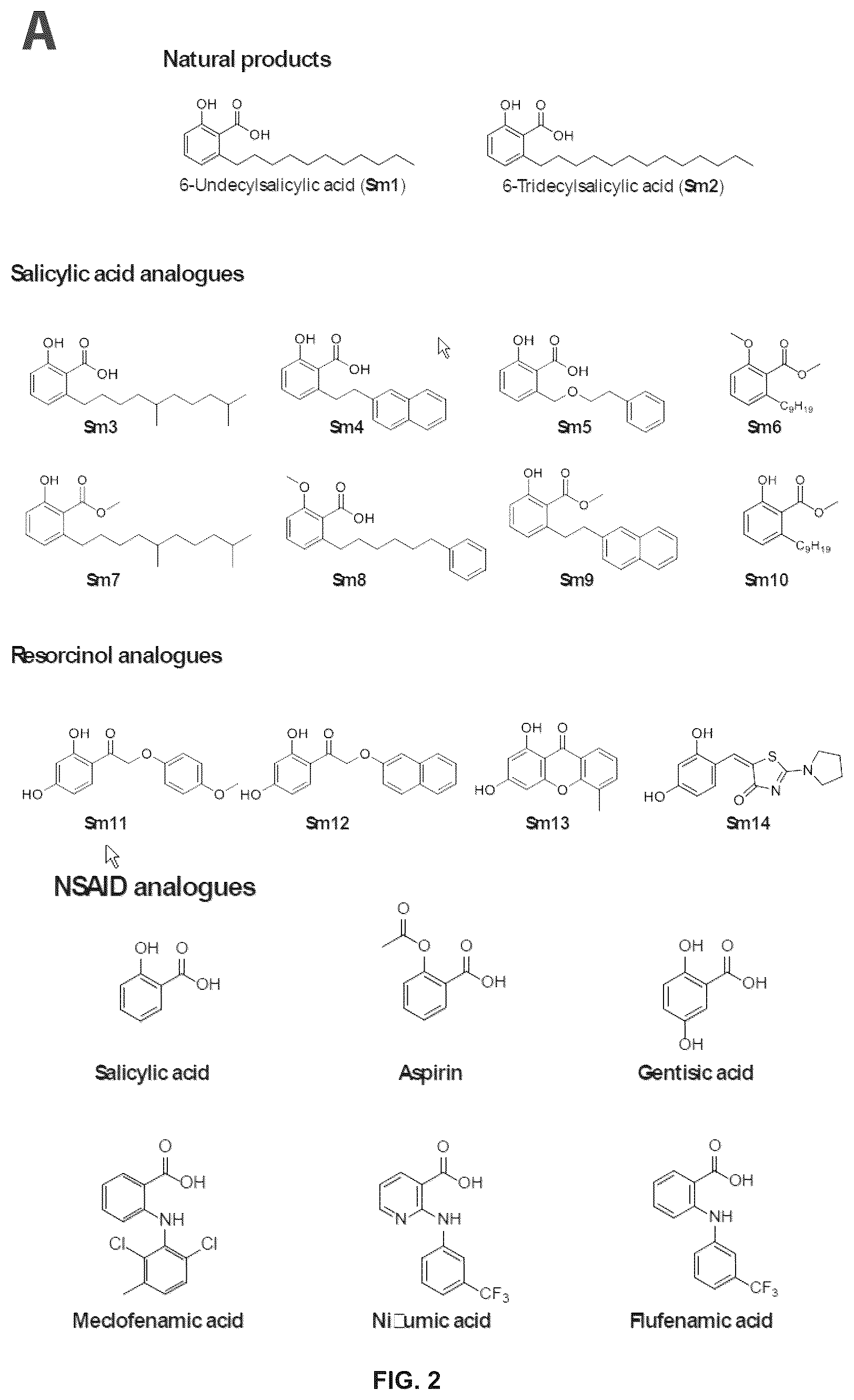 Patent US12410116 Figure 2 – Compounds and use thereof in methods of treatment