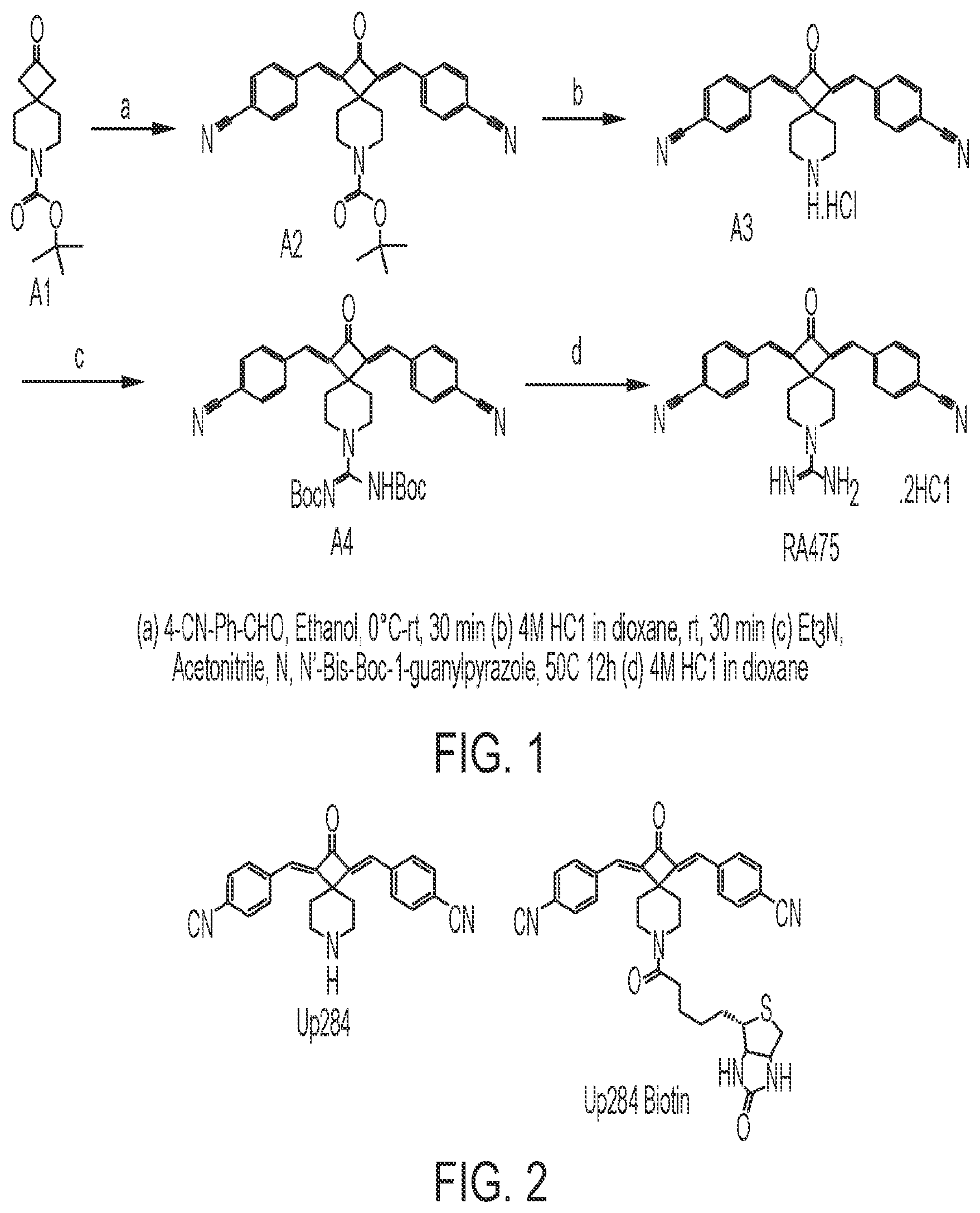 Patent US12410141 Figure 1 – Anti-cancer spirocyclic-guanidine compounds and uses thereof