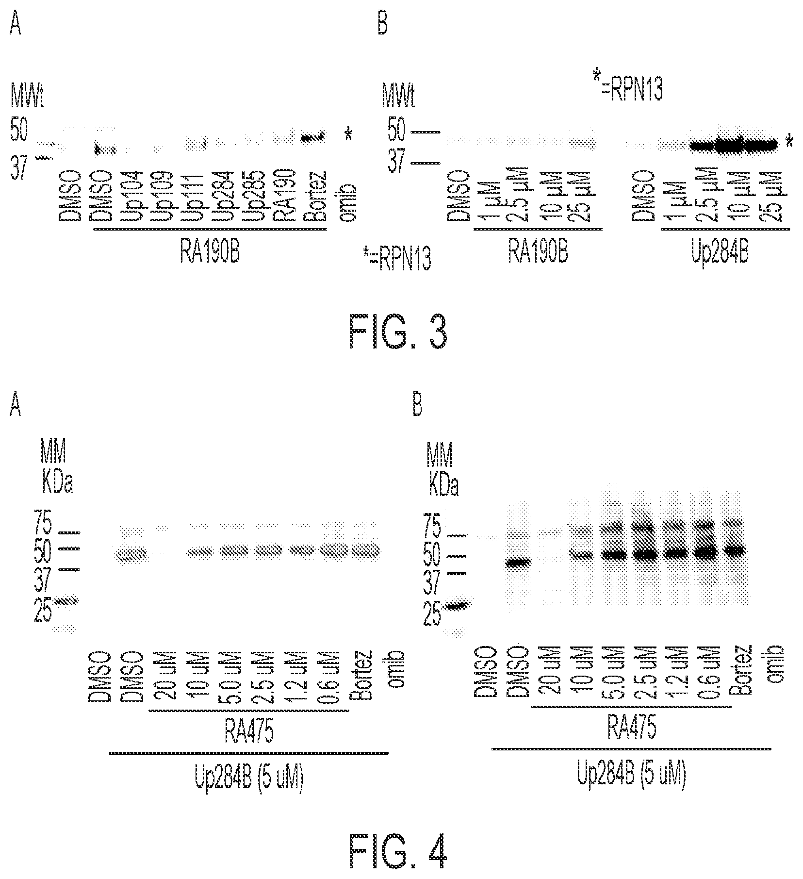Patent US12410141 Figure 2 – Anti-cancer spirocyclic-guanidine compounds and uses thereof