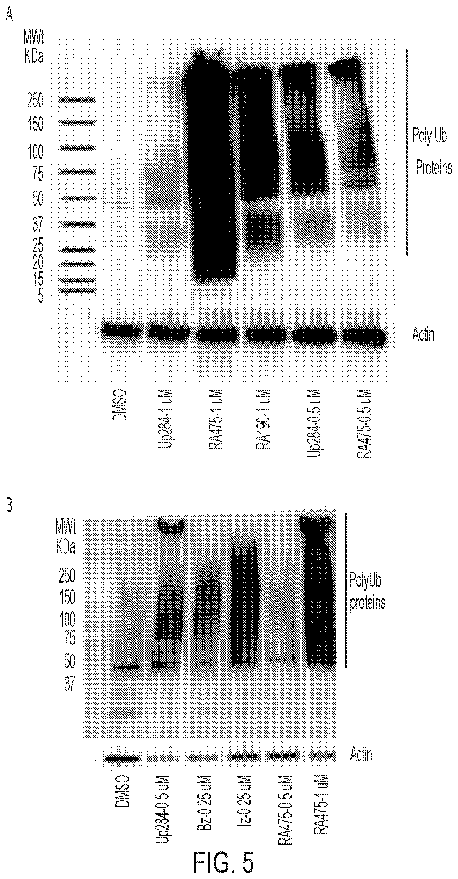 Patent US12410141 Figure 3 – Anti-cancer spirocyclic-guanidine compounds and uses thereof