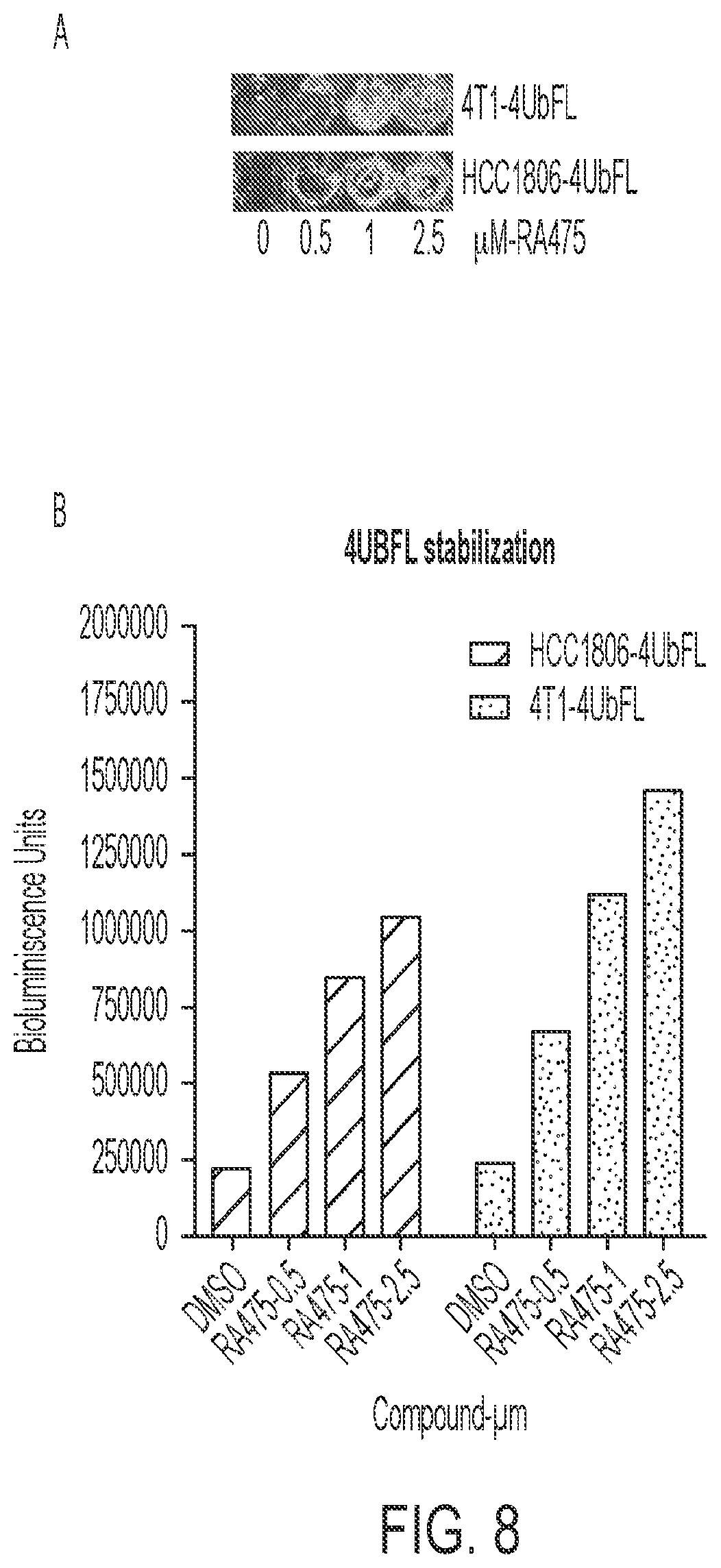 Patent US12410141 Figure 7 – Anti-cancer spirocyclic-guanidine compounds and uses thereof