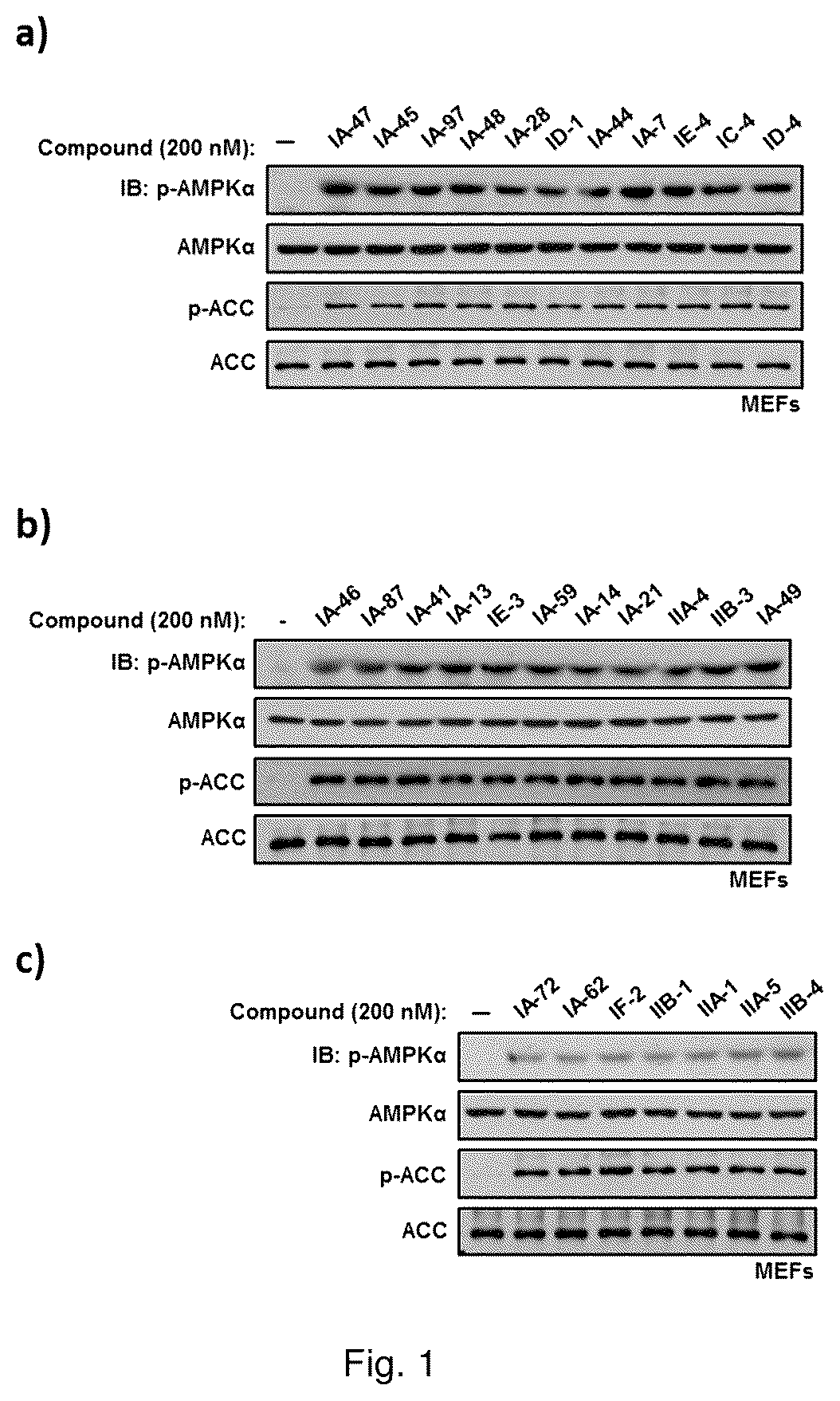 Patent US12410142 Figure 1 – Substituted imidazole salt compounds, preparation method thereof, pharmaceutical composition thereof and application thereof