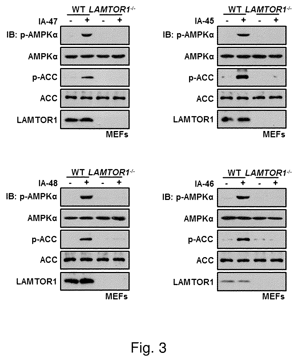 Patent US12410142 Figure 3 – Substituted imidazole salt compounds, preparation method thereof, pharmaceutical composition thereof and application thereof