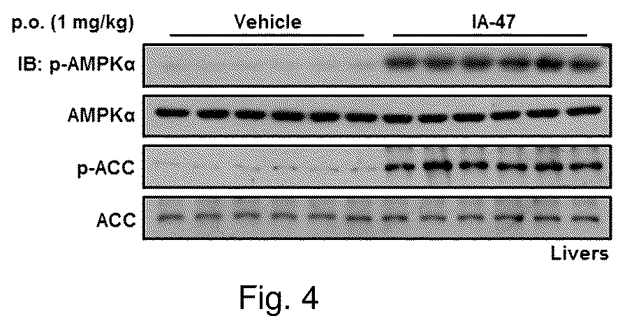 Patent US12410142 Figure 4 – Substituted imidazole salt compounds, preparation method thereof, pharmaceutical composition thereof and application thereof