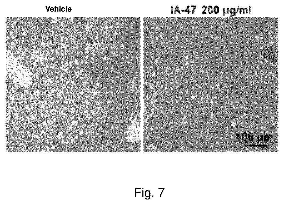 Patent US12410142 Figure 7 – Substituted imidazole salt compounds, preparation method thereof, pharmaceutical composition thereof and application thereof