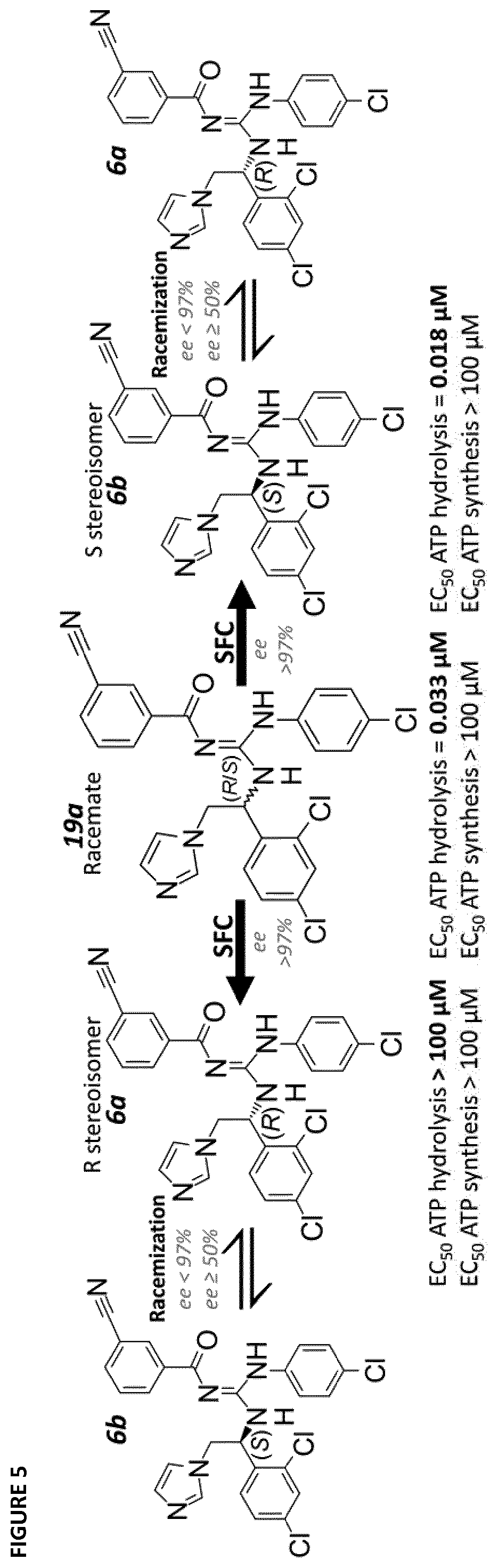 Patent US12410143 Figure 5 – Therapeutic inhibitors of the reverse mode of ATP synthase