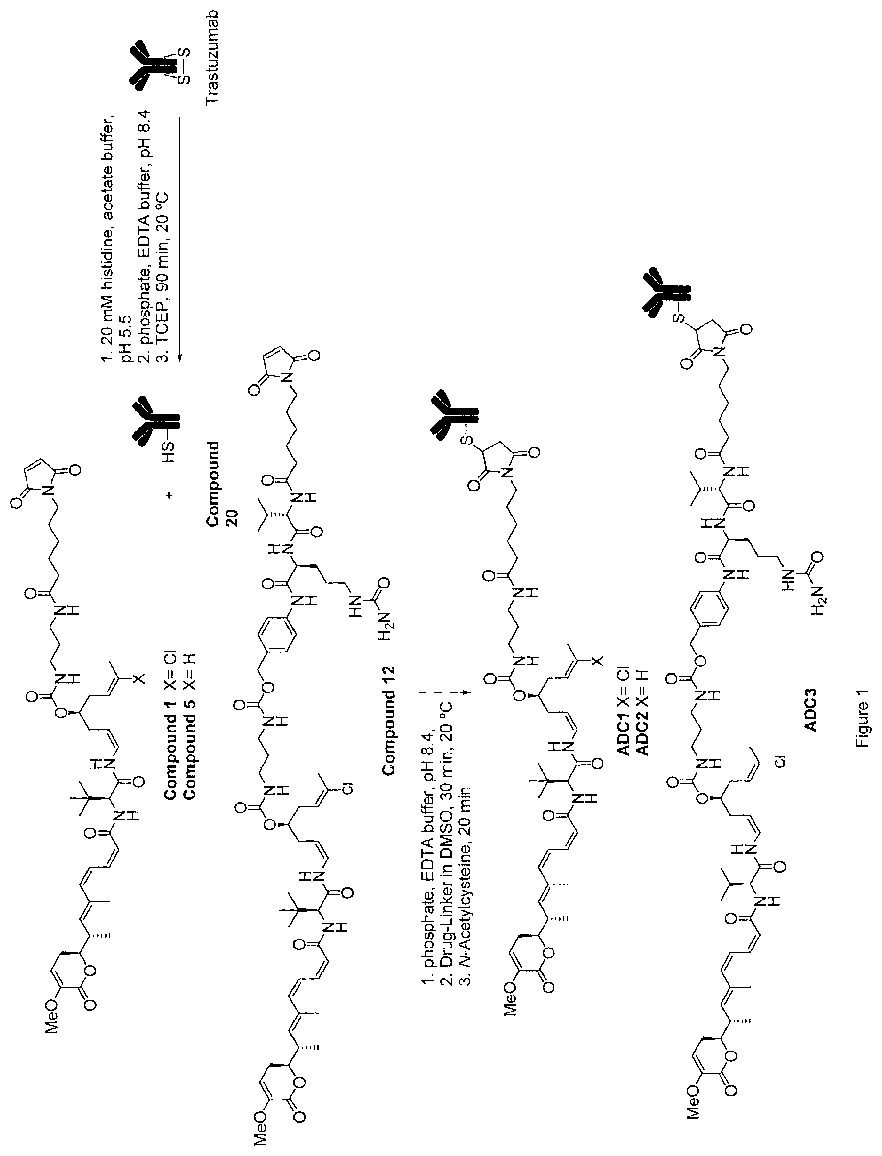 Patent US12410148 — Antibody drug conjugates — Figure 1